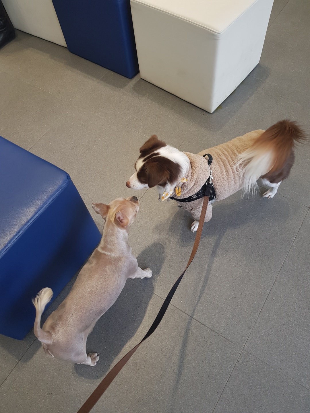 하겐이 잘있어용