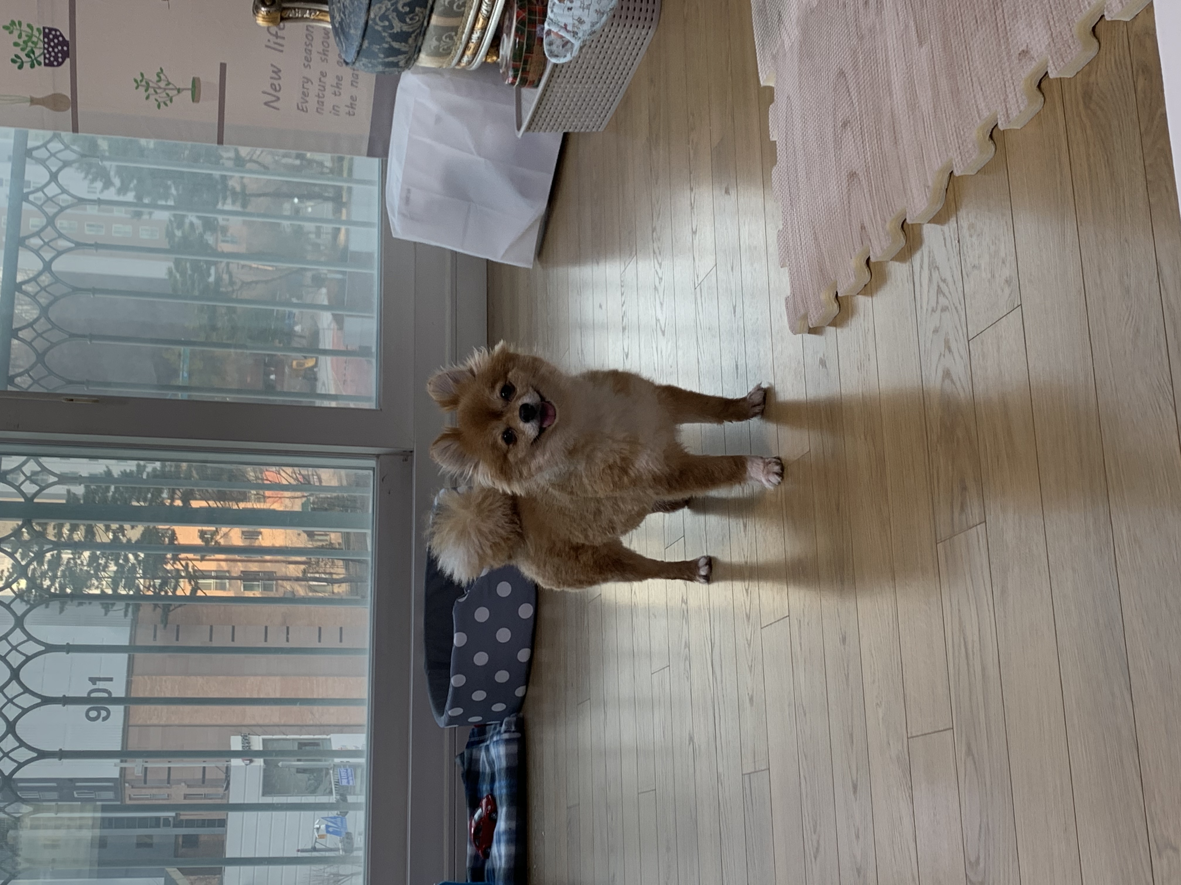 토리 (곤지암 삼곤이) 와 함께한 한 달