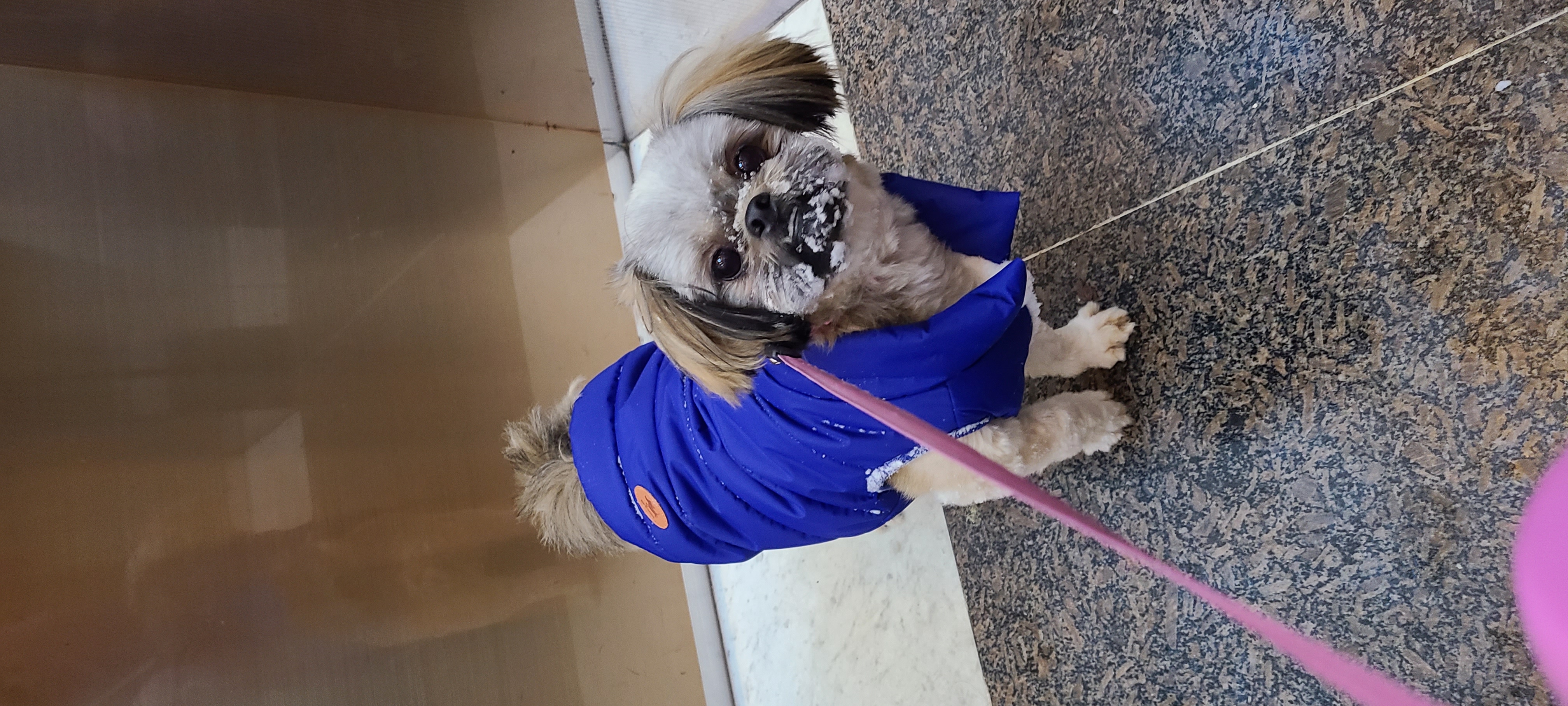 우리 세남이(흑미)