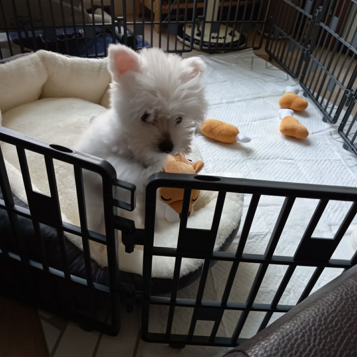 곤지암 그오(봄이) 1차 첫 후기입니다~!