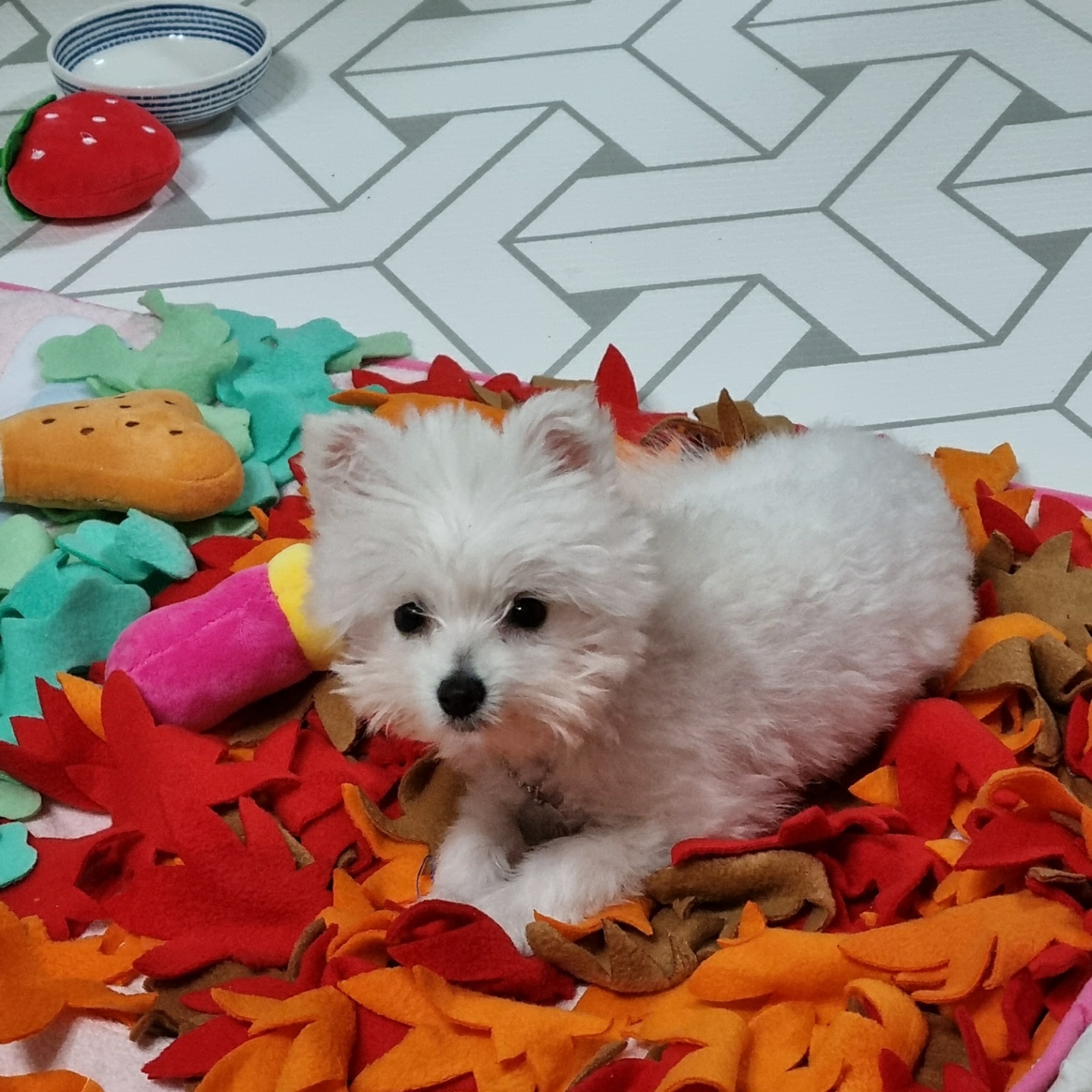 곤지암 그오(봄이) 1차 첫 후기입니다~!