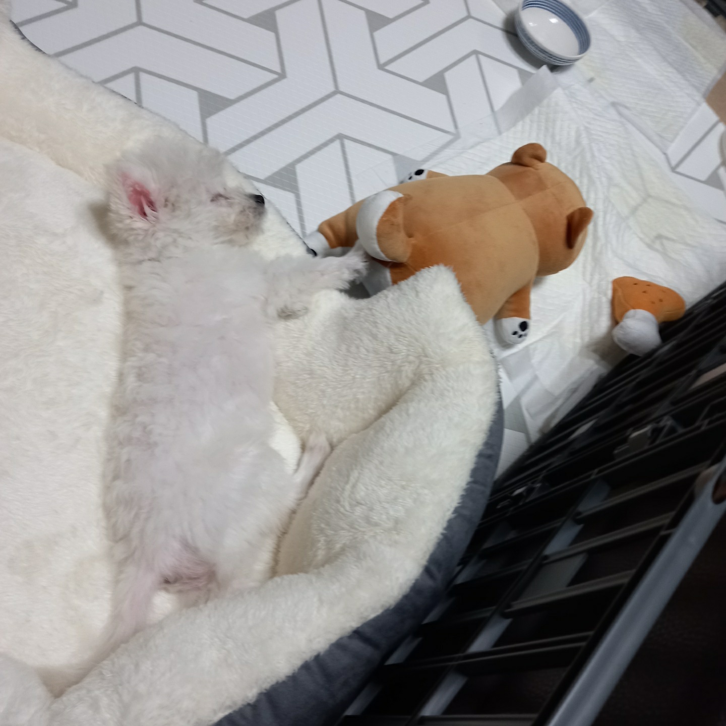 곤지암 그오(봄이) 1차 첫 후기입니다~!