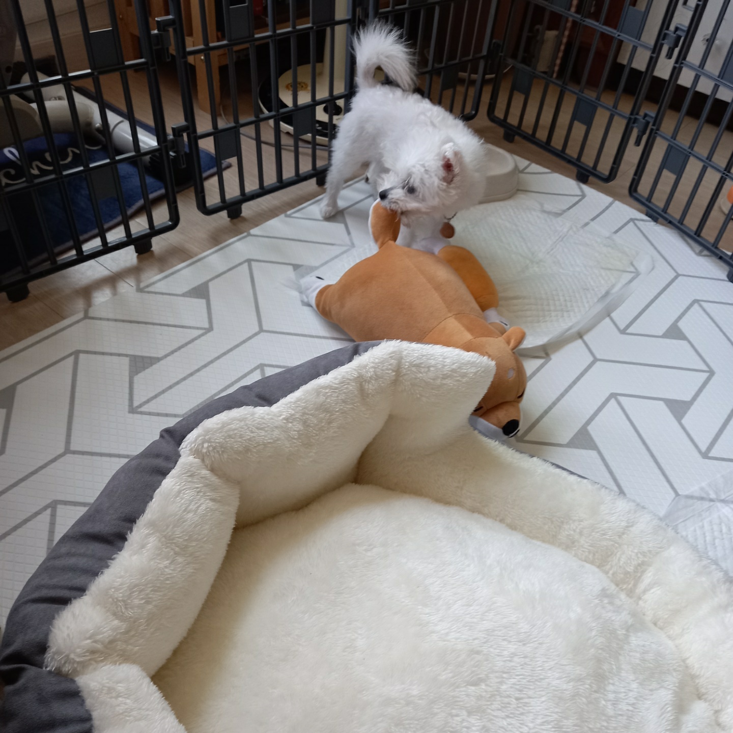 곤지암 그오(봄이) 1차 첫 후기입니다~!