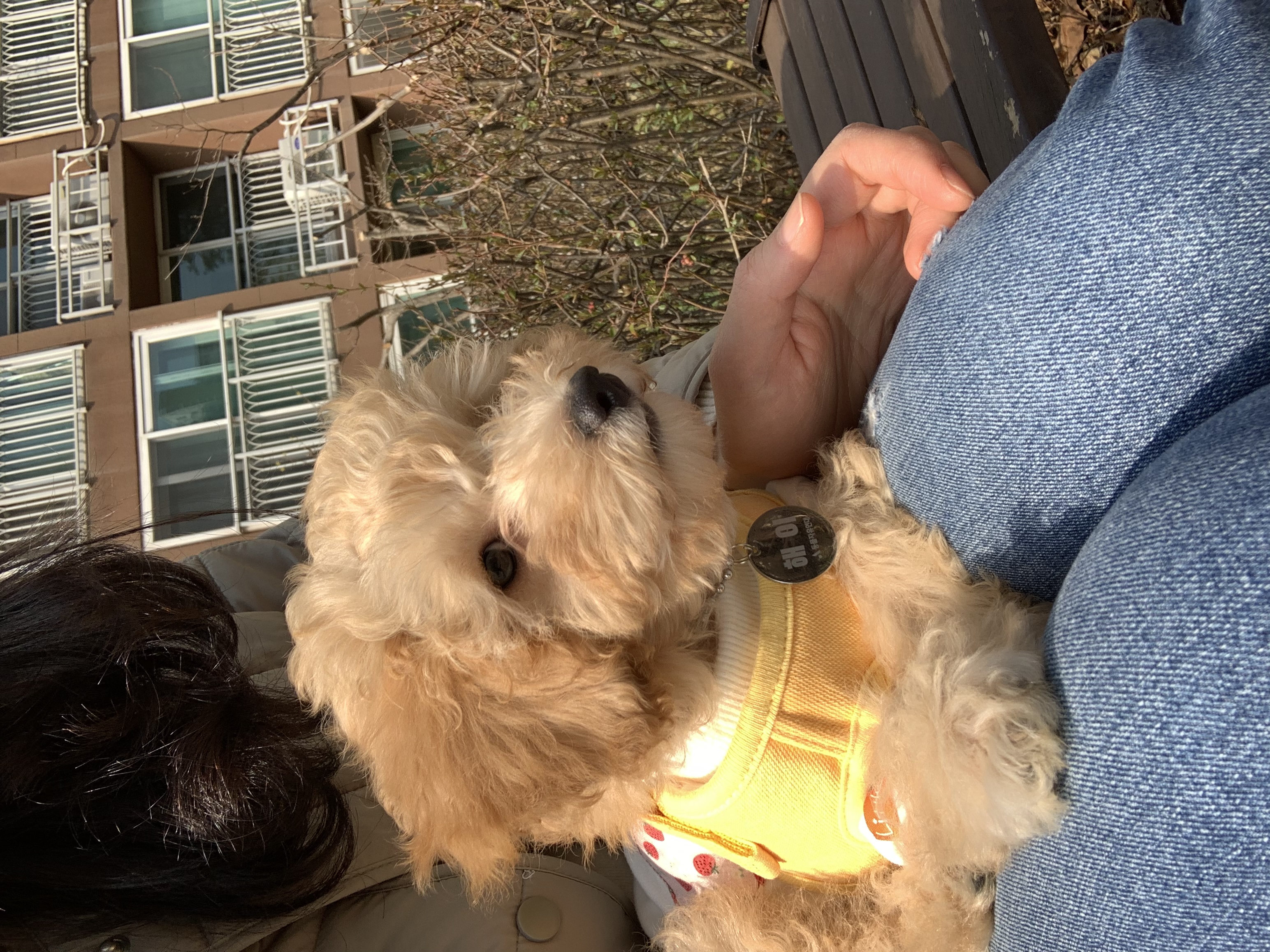 해이랑 가족된지 한달 되었어요~