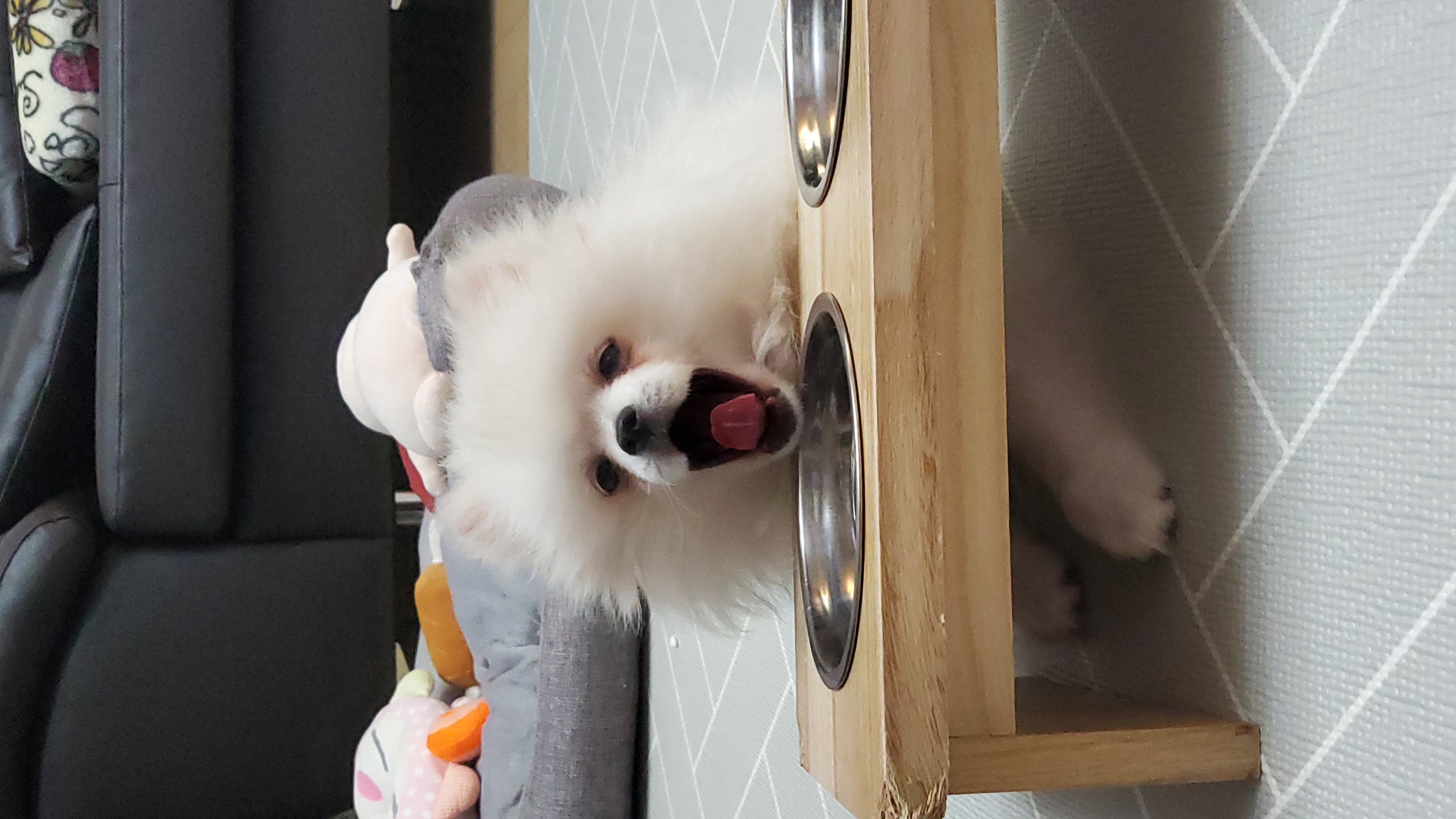 곤지암 꾸일이 적응기