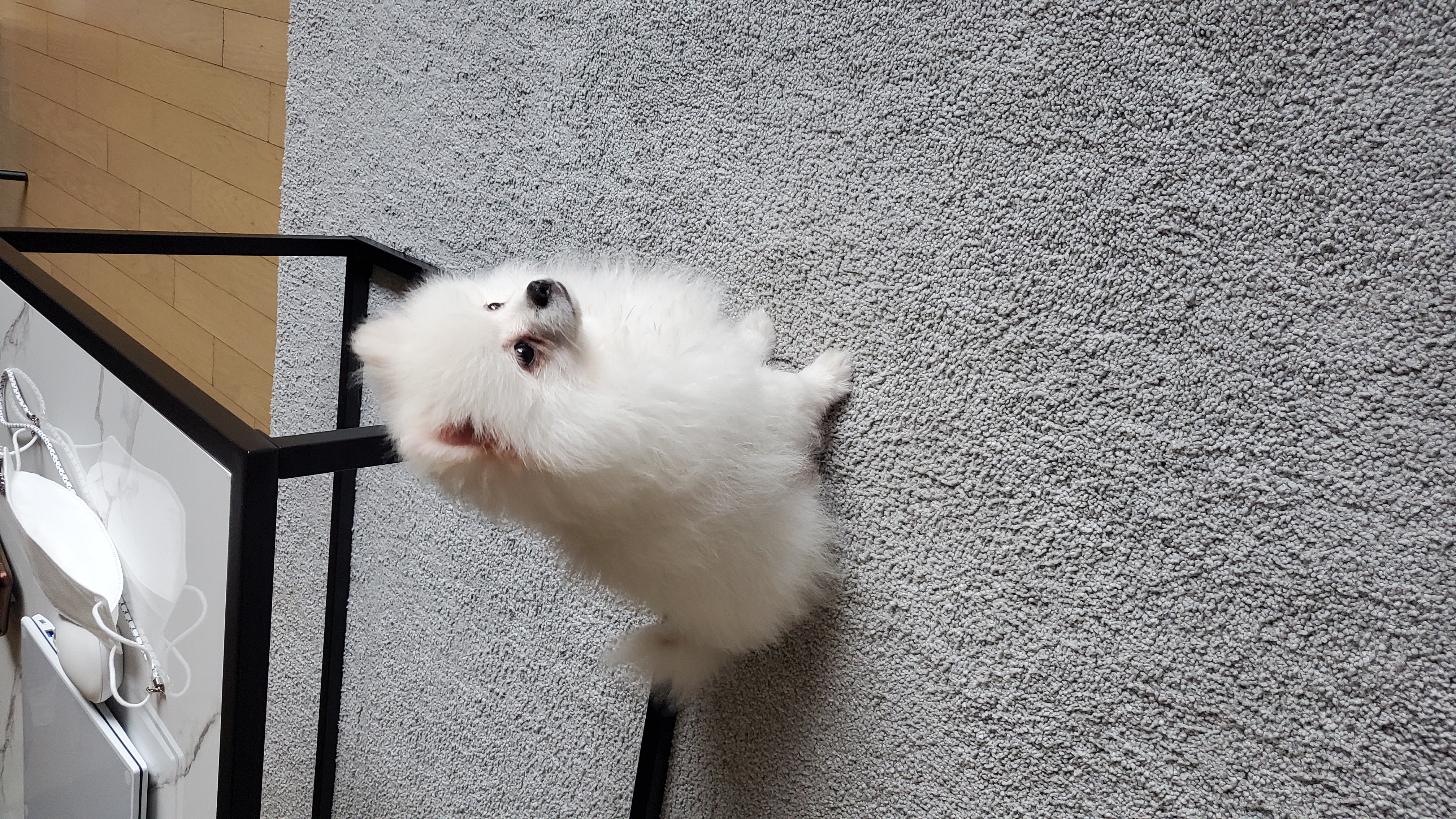 곤지암 꾸일이 적응기