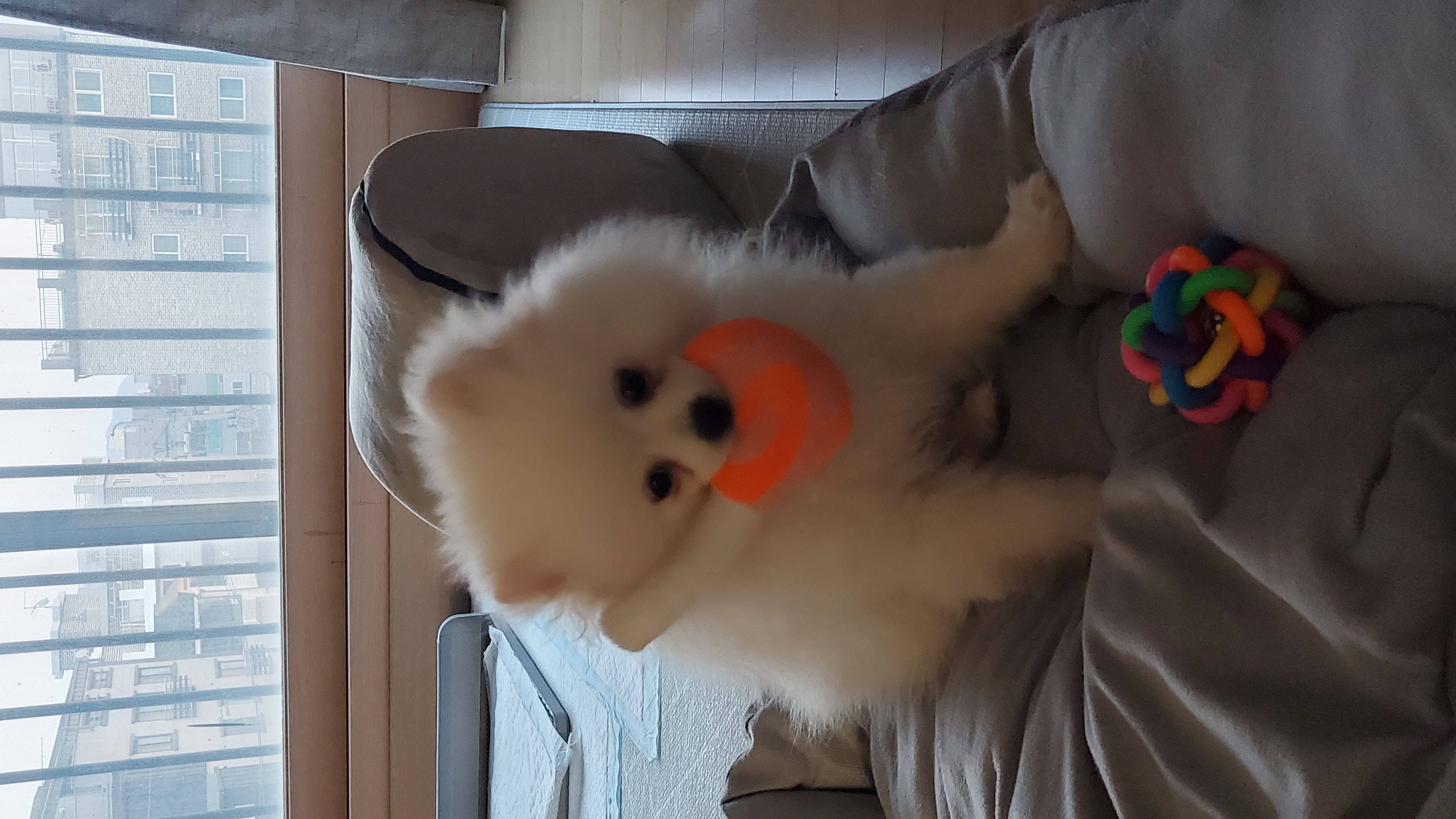 곤지암 꾸일이 적응기