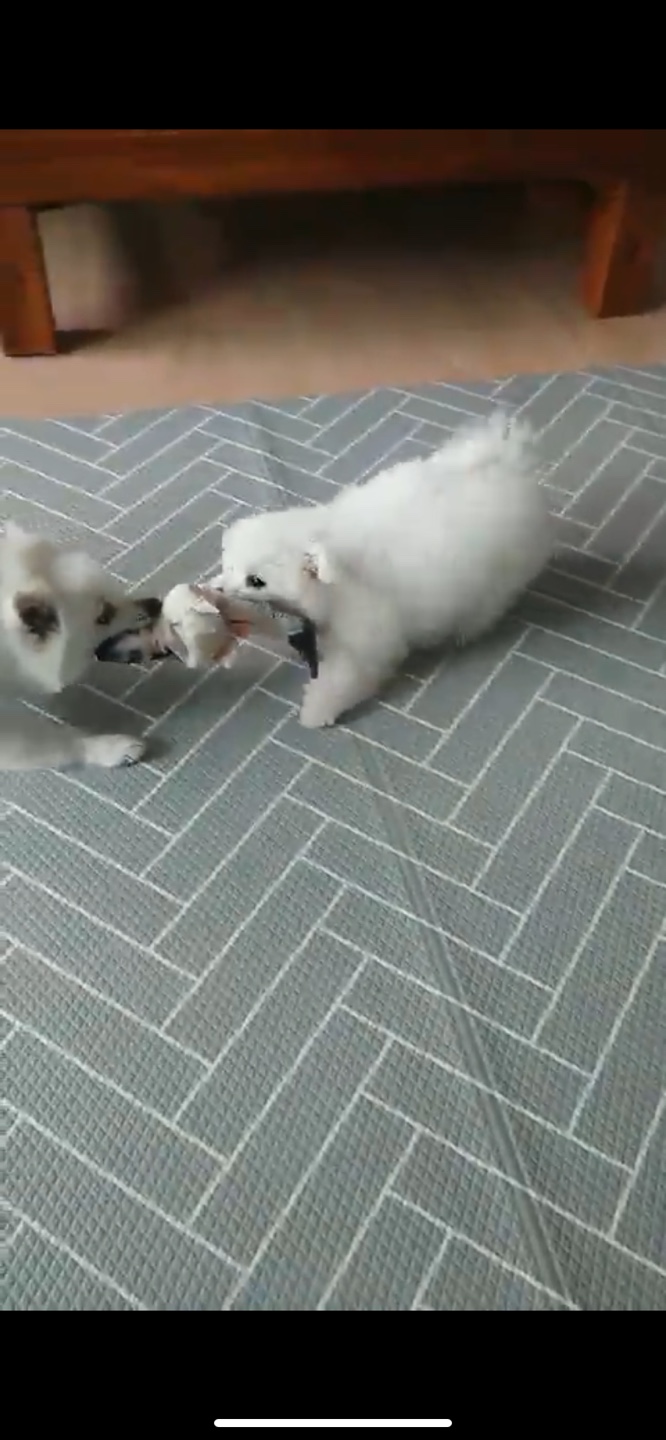 곤지암 이슬이 한달 후기 입니다.(그레아가)