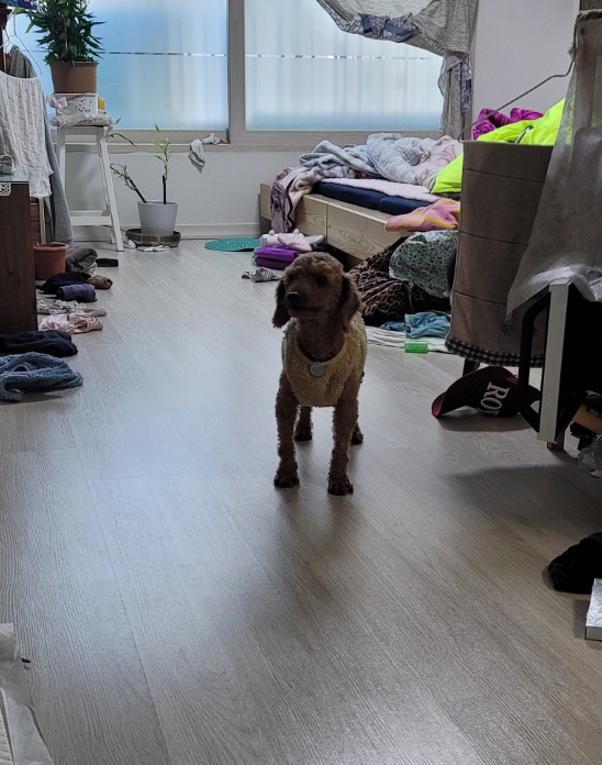 하루(해랑이)의 보름 동안의 후기를 올려드립니다.