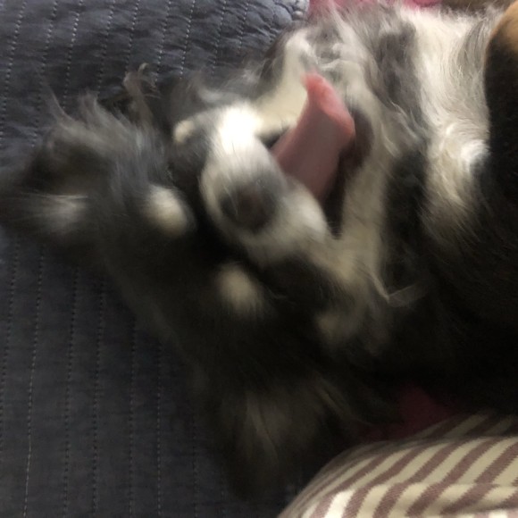 구 드림 현 아담이와 2주년이에요~!