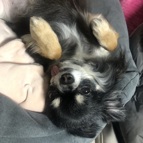 구 드림 현 아담이와 2주년이에요~!