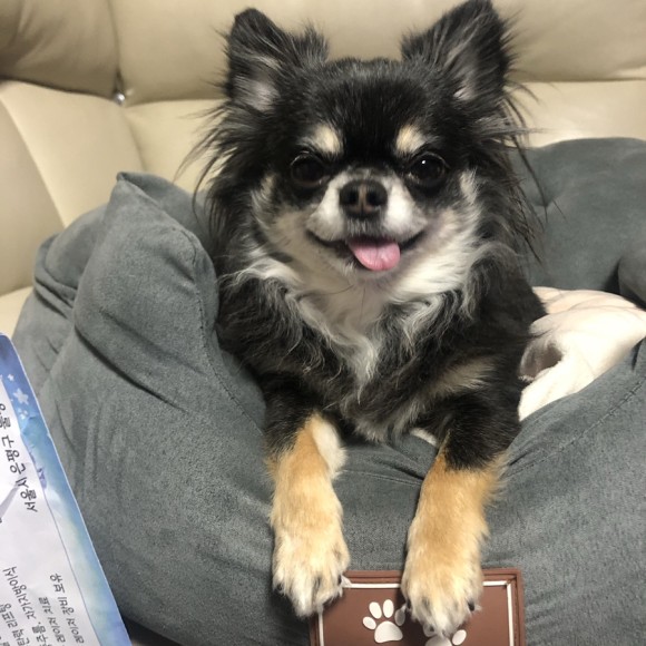 구 드림 현 아담이와 2주년이에요~!