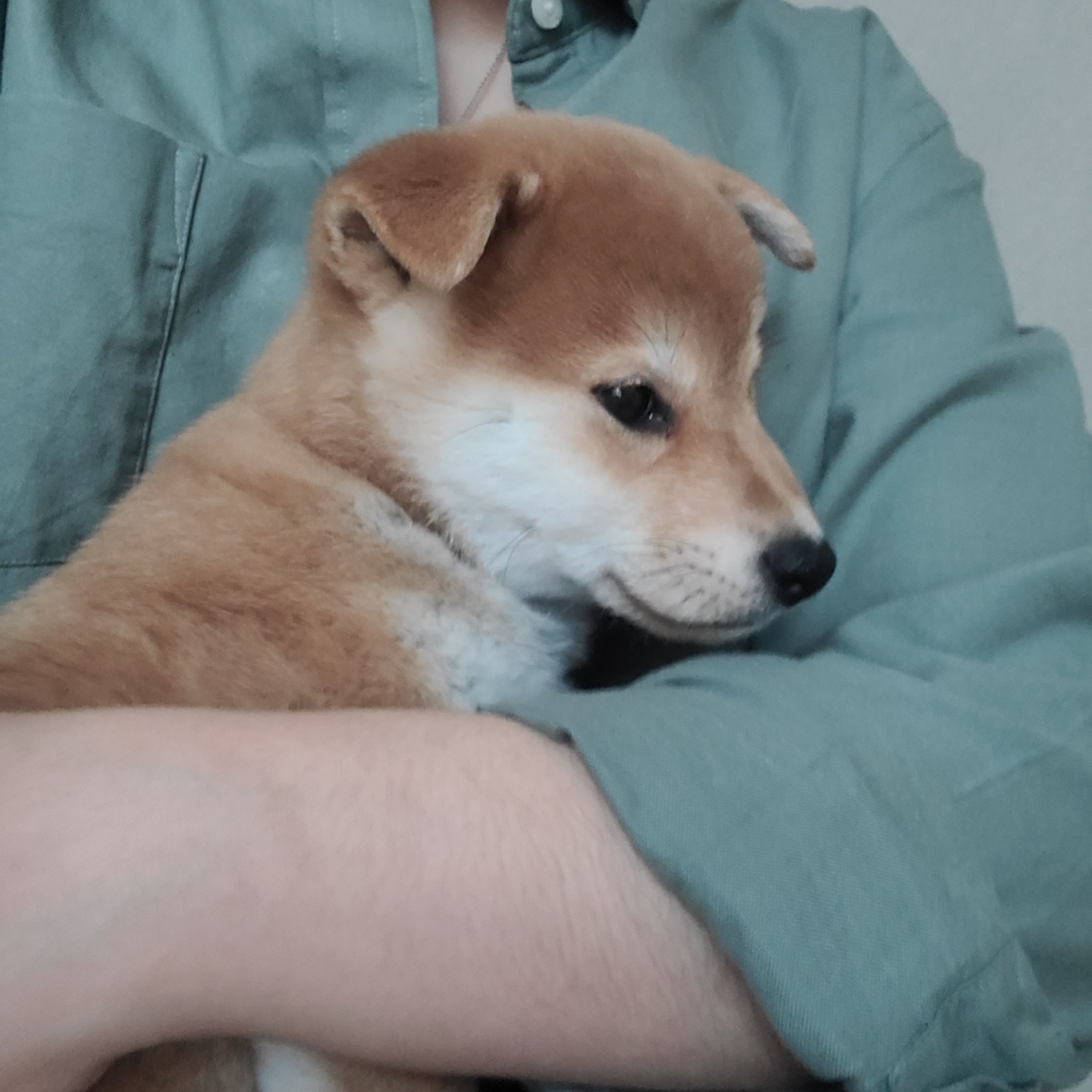 곤지암 세시 1주차 ❤