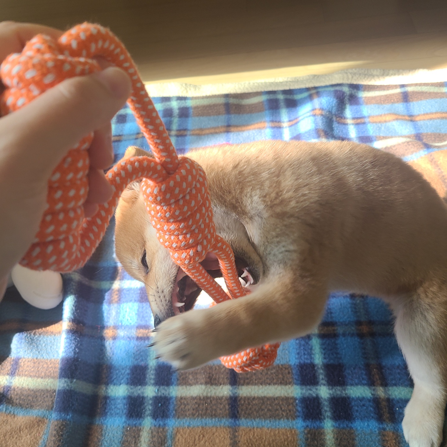 곤지암 세시 1주차 ❤