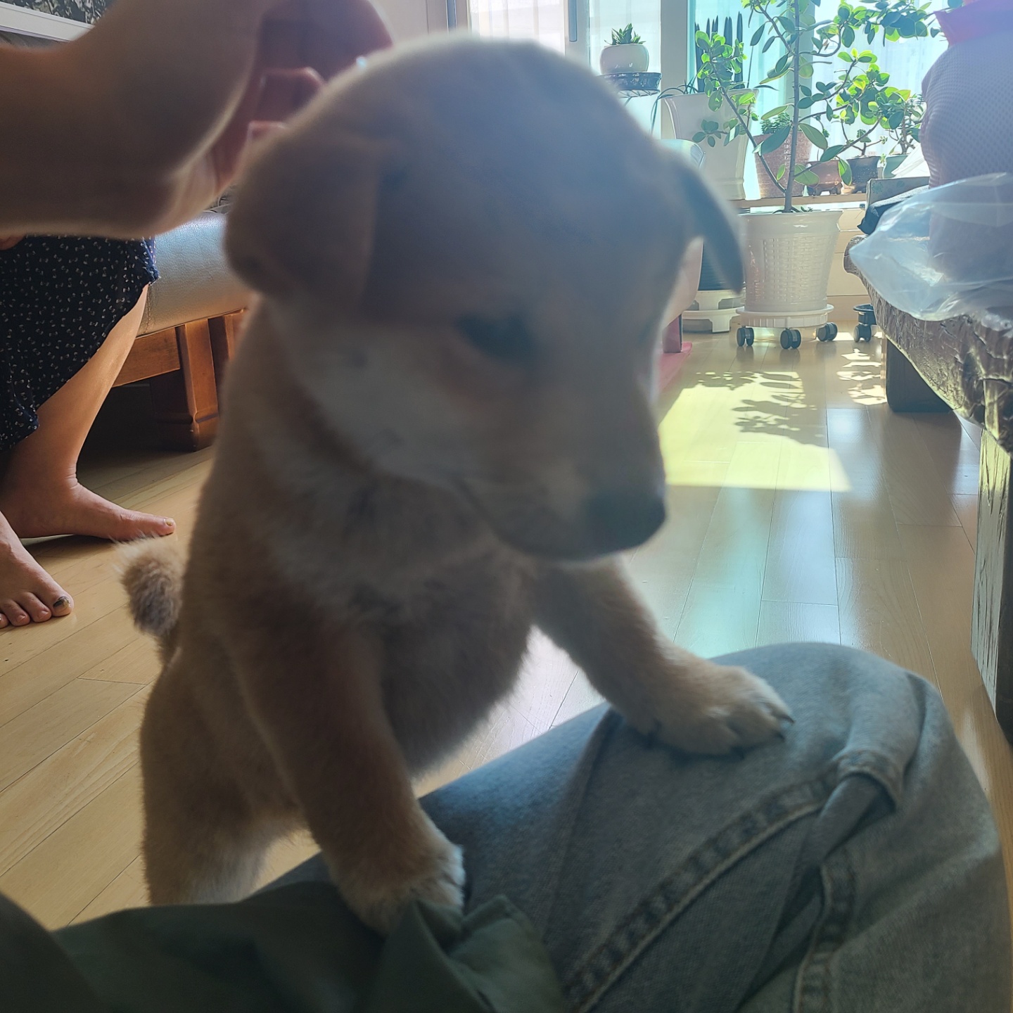 곤지암 세시 1주차 ❤