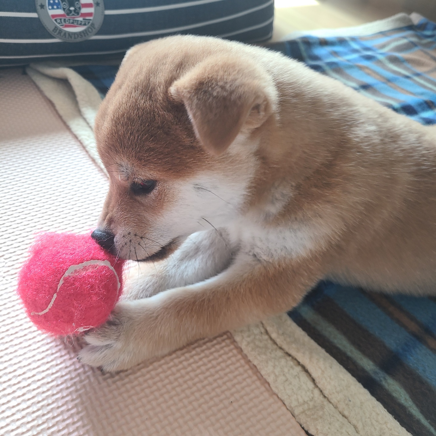 곤지암 세시 1주차 ❤