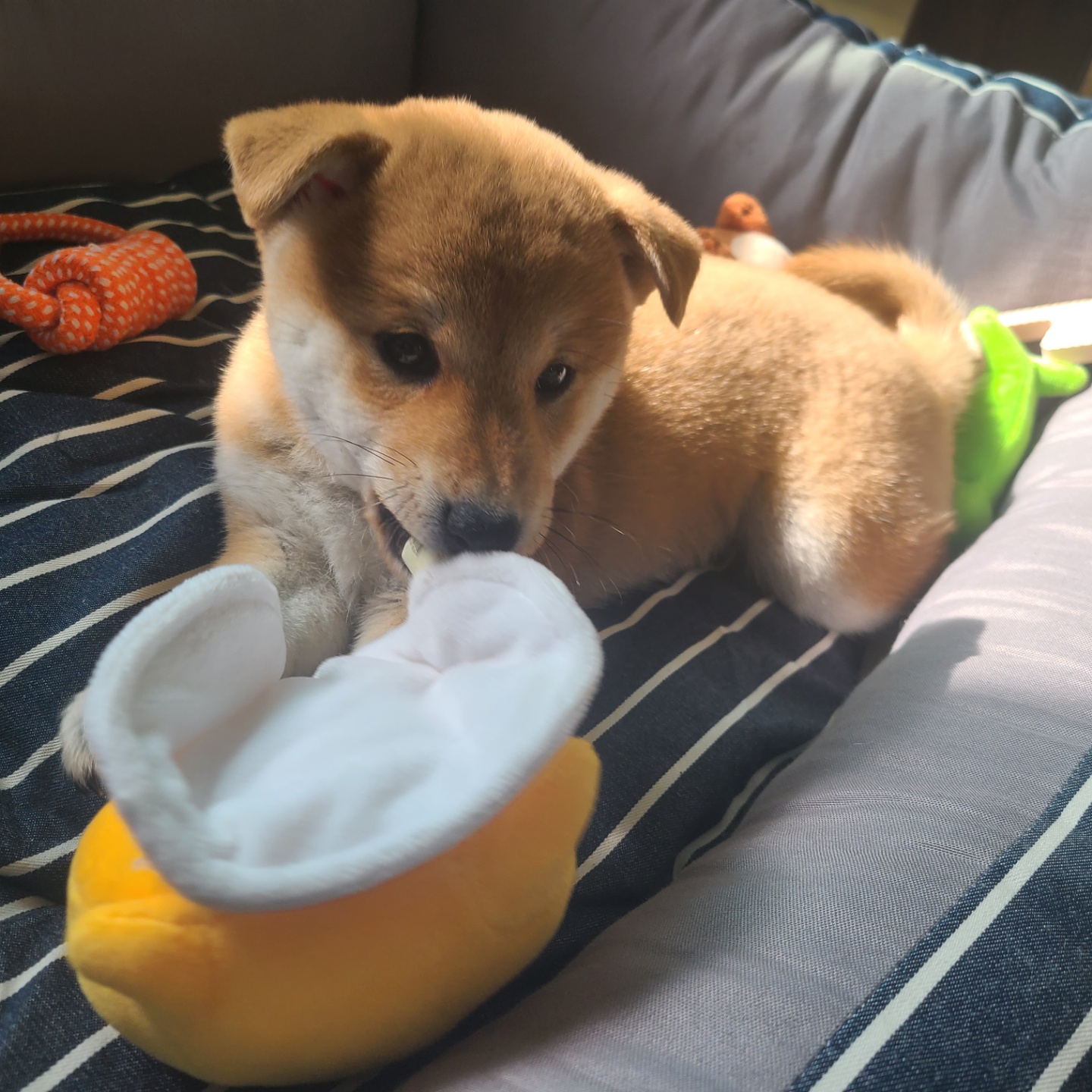 곤지암 세시 1주차 ❤