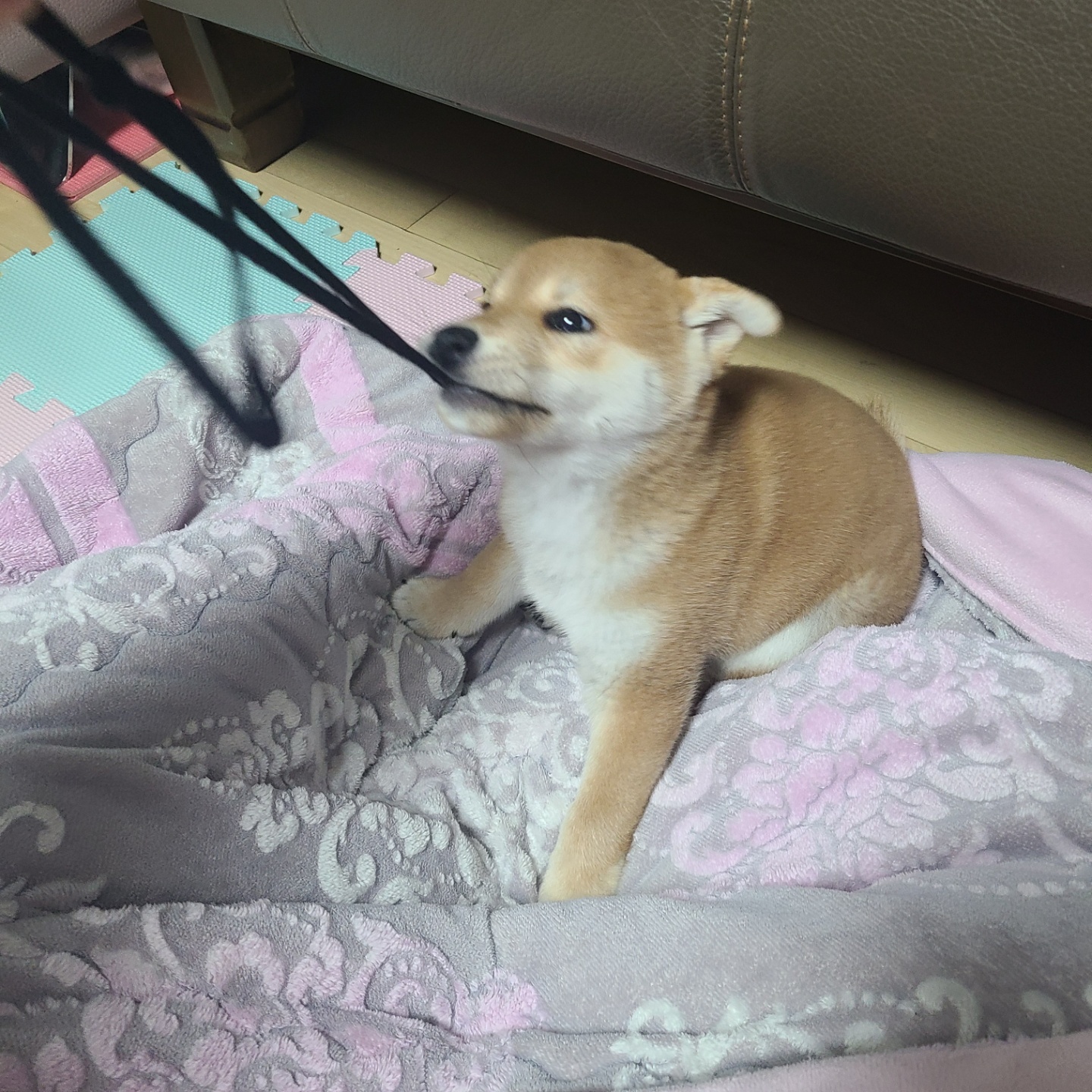 곤지암 세시 1주차 ❤