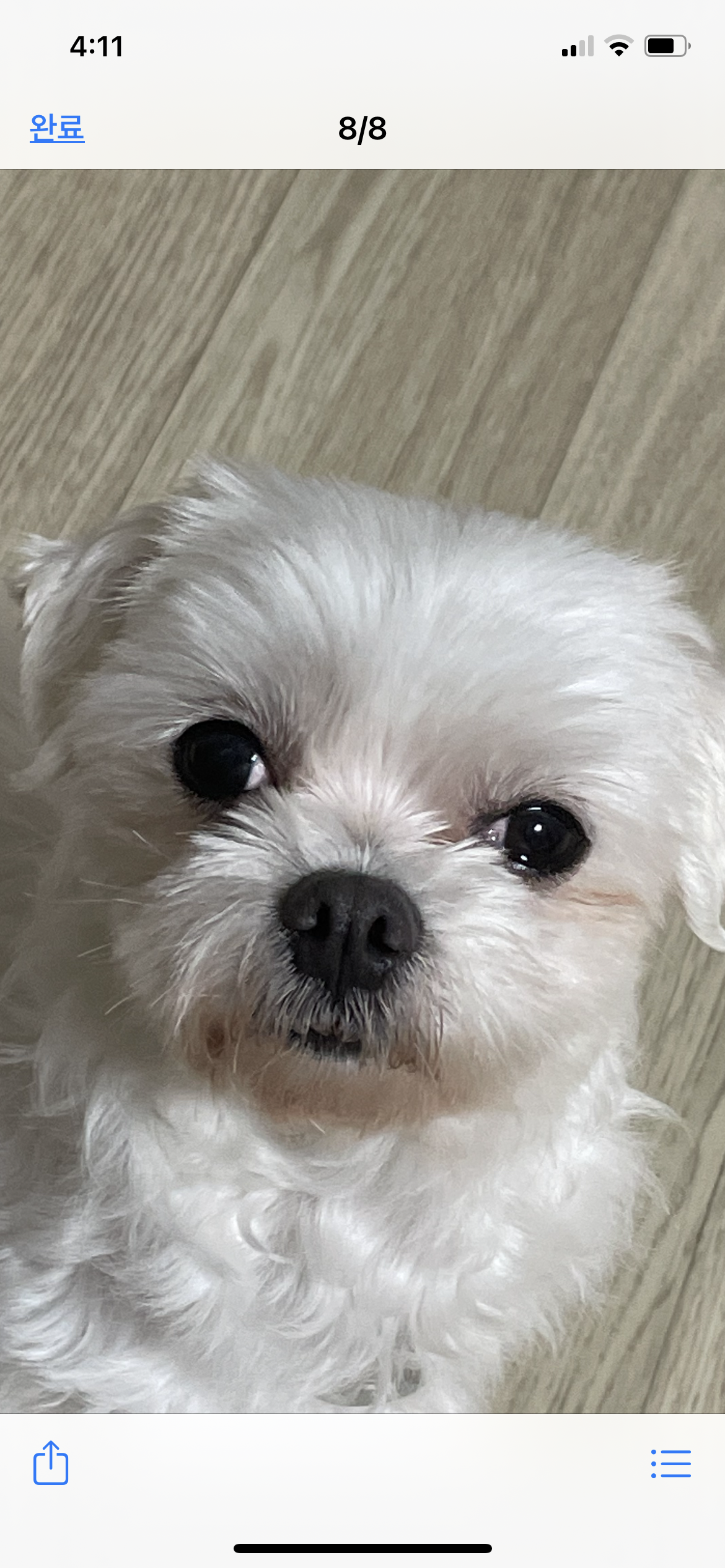 안녕하세요 곤지암 9엄마 팝콘이를 소개합니다