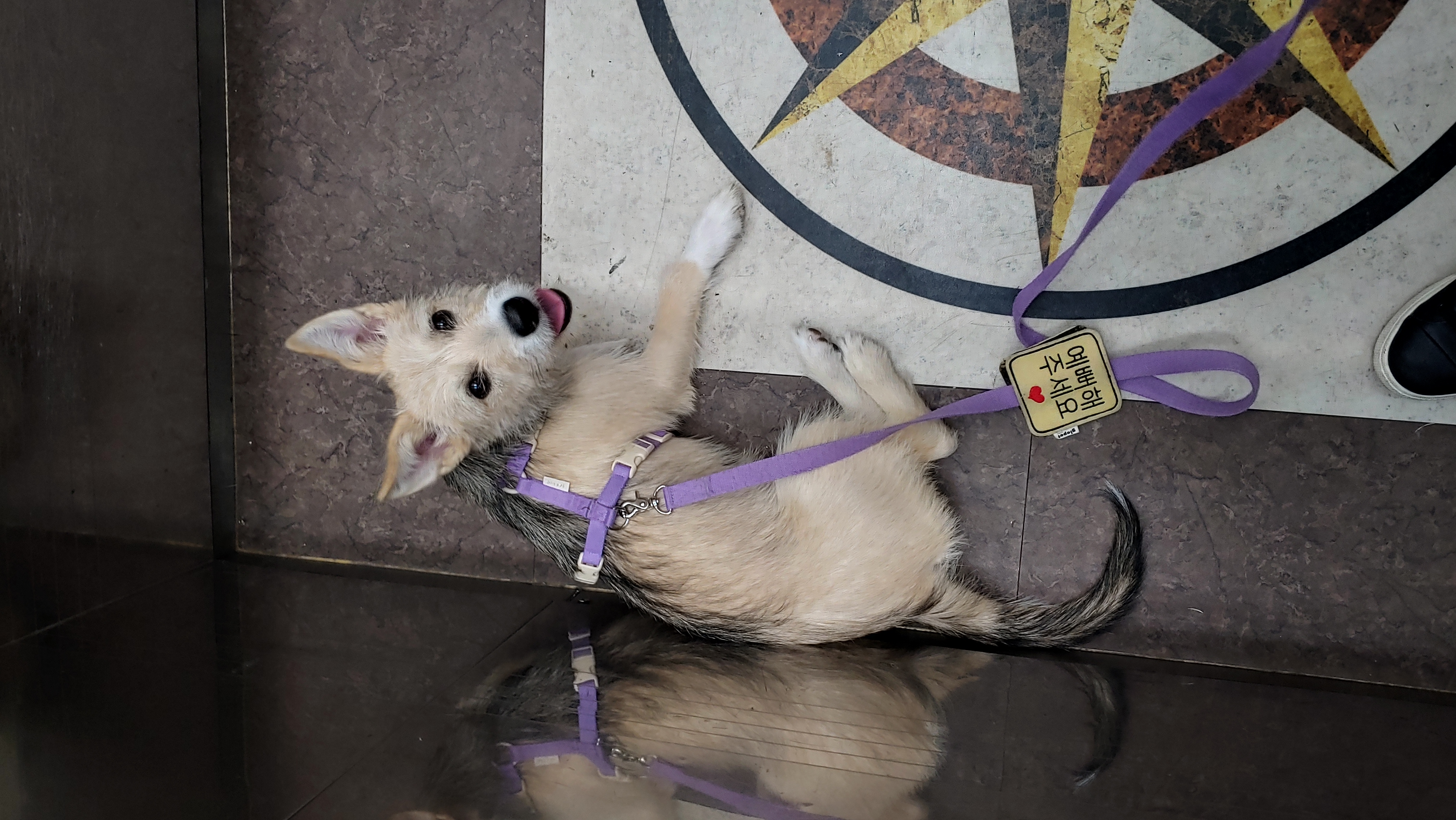 미루 (마노) 3개월 이야기