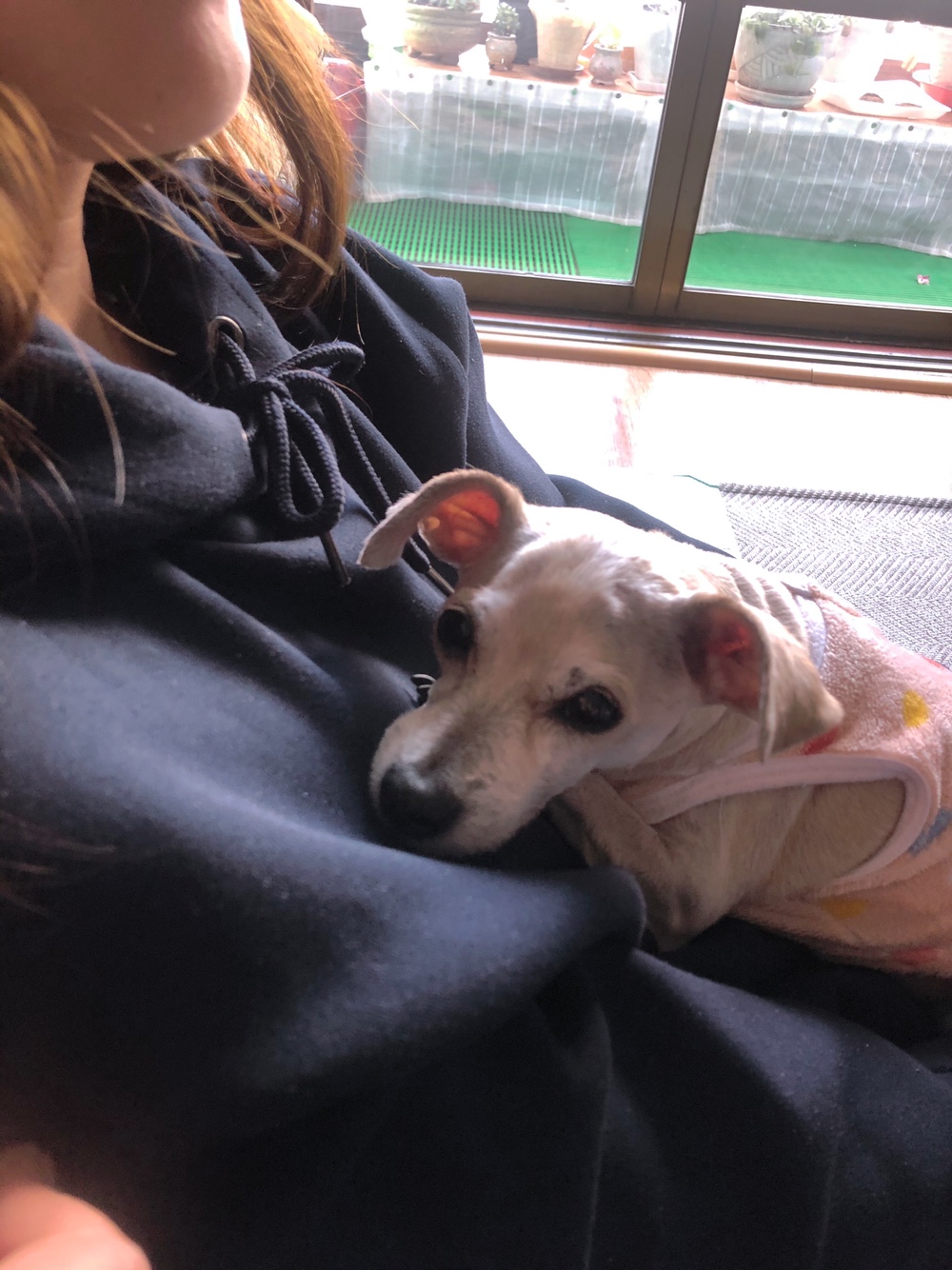 진이(前바비) 3개월차 소식입니다 ^0^