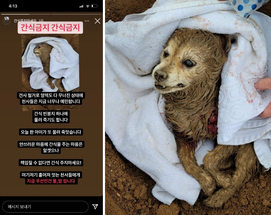 아산 천사원이 철거되며 아이들이 굶주리고 예민해져 서로 죽이고 다치고 있습니다.