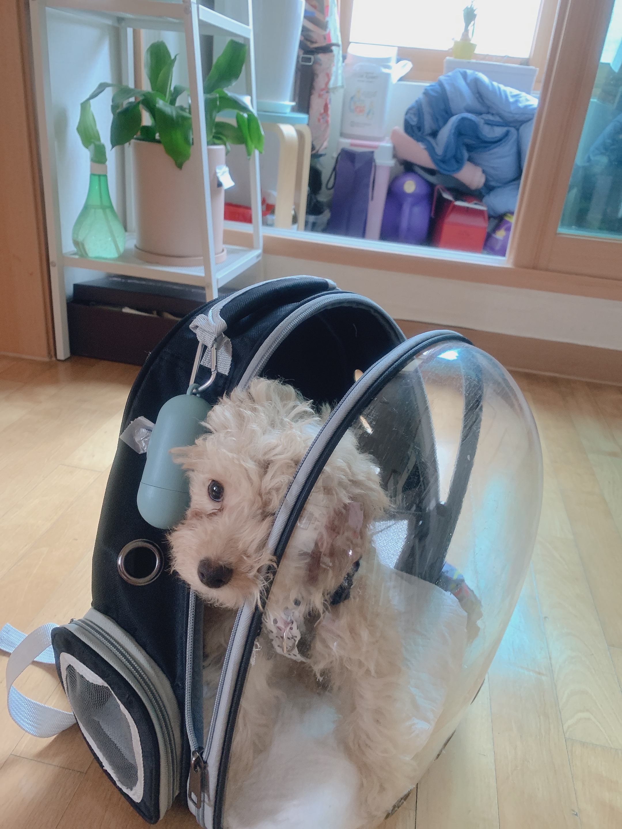 초이 한달 소식 전해드려요~^^(해삼이)