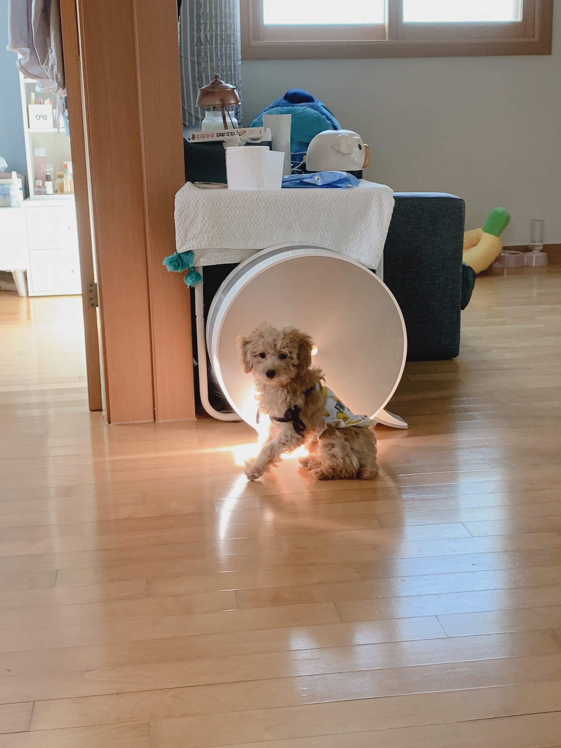 초이 한달 소식 전해드려요~^^(해삼이)