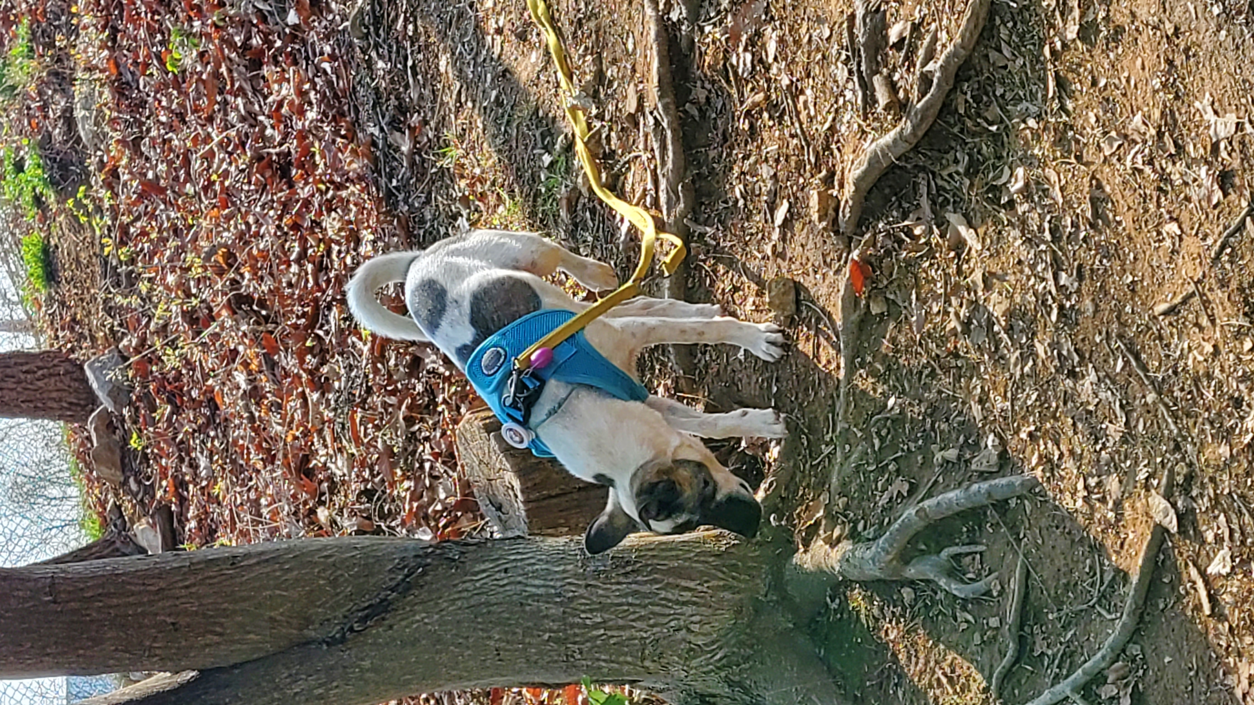 아띠&빵야(파파&레레) 3개월 🤗