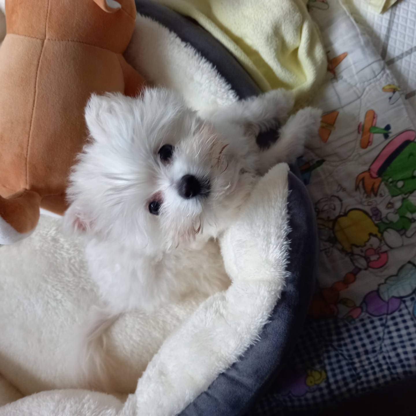 곤지암 그오(봄이) 2차(한달) 후기입니다~!