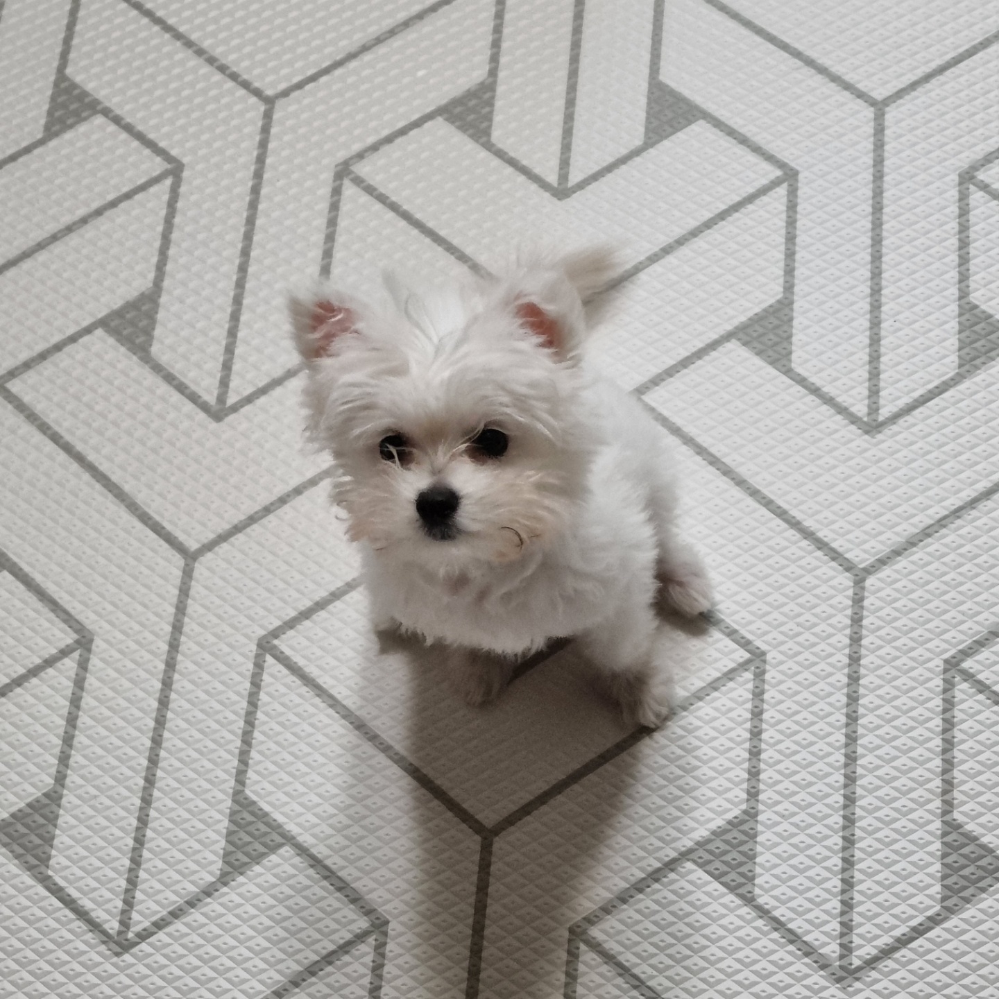 곤지암 그오(봄이) 2차(한달) 후기입니다~!