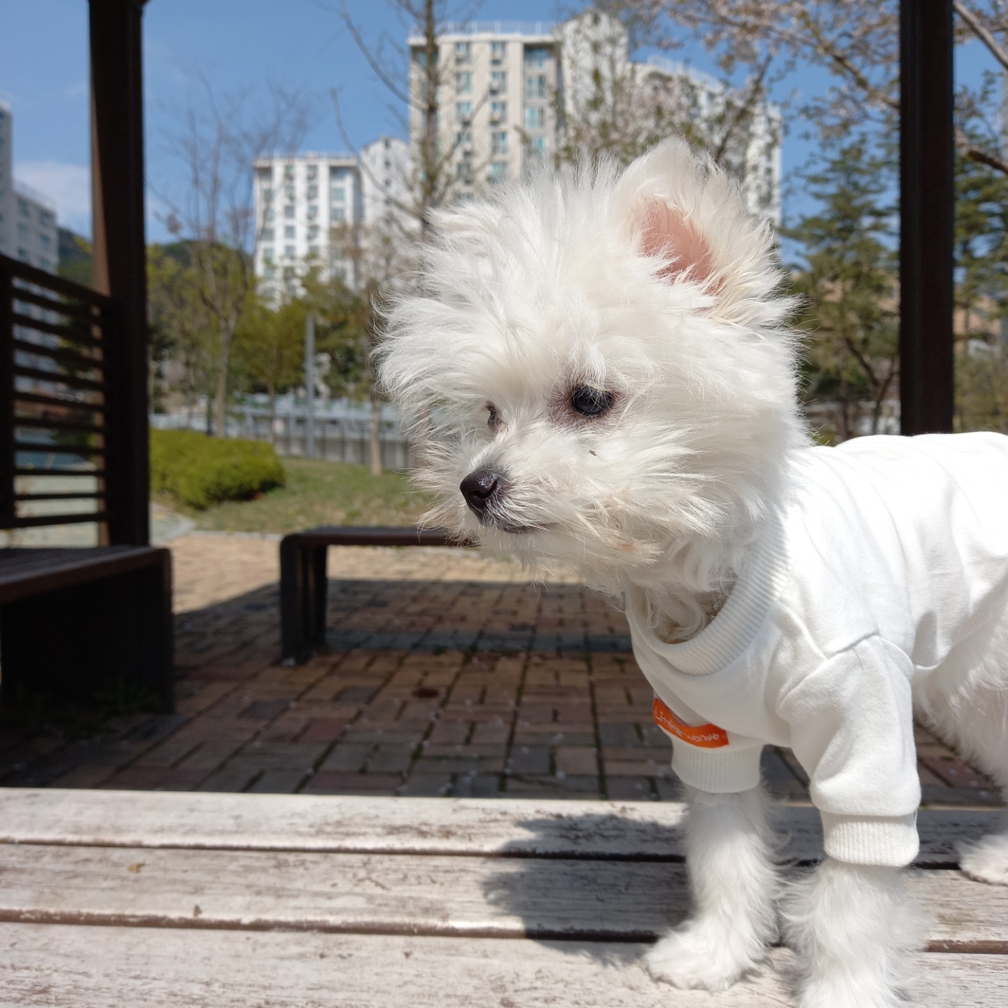 곤지암 그오(봄이) 2차(한달) 후기입니다~!