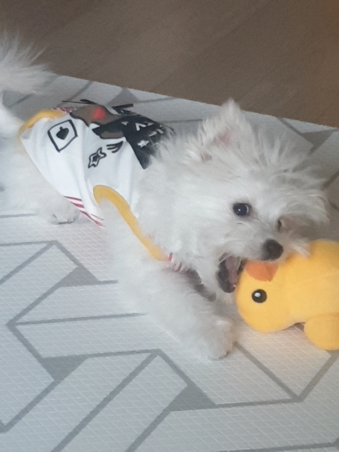 곤지암 그오(봄이) 2차(한달) 후기입니다~!