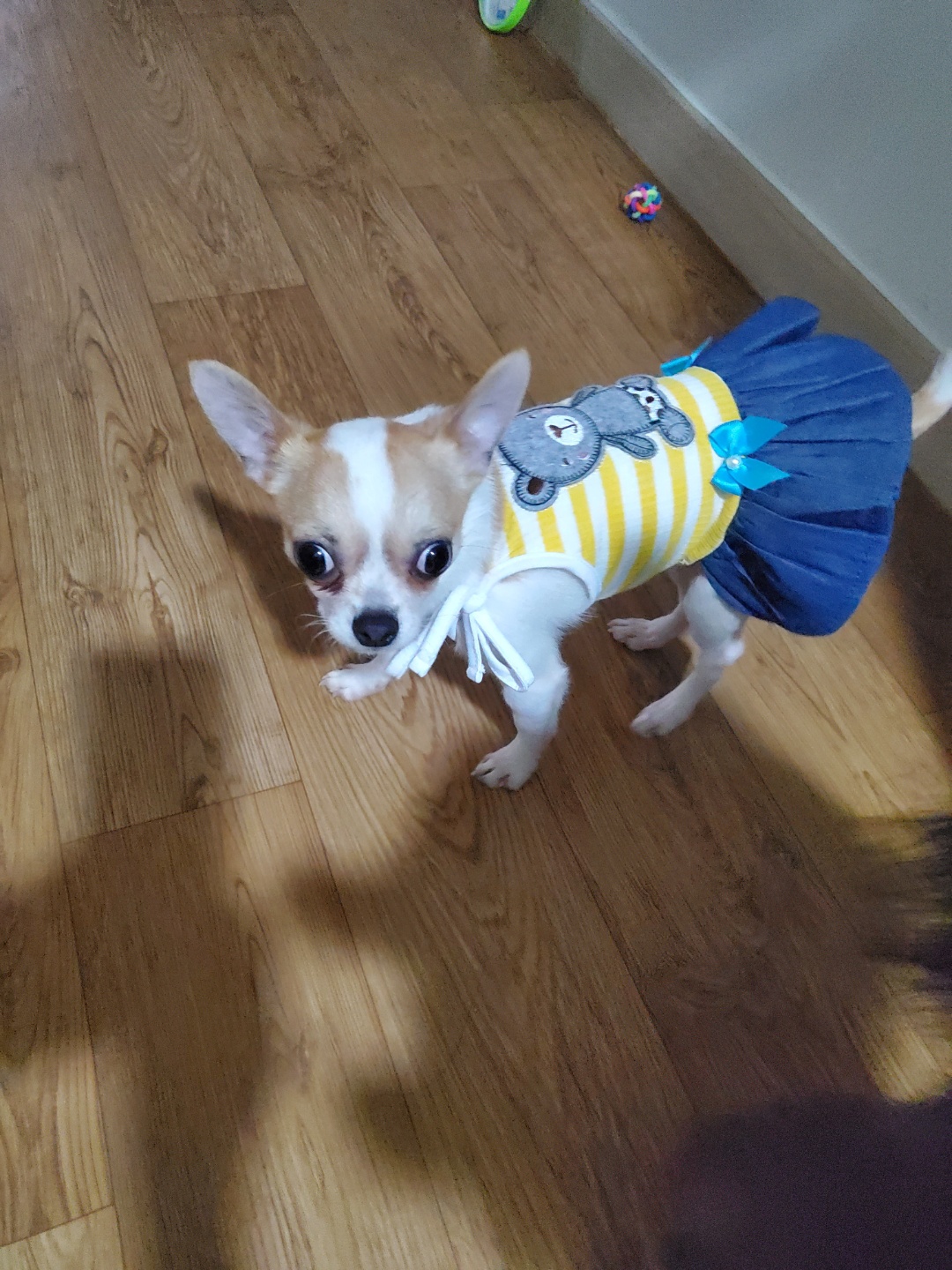 이랑이 한달 후기