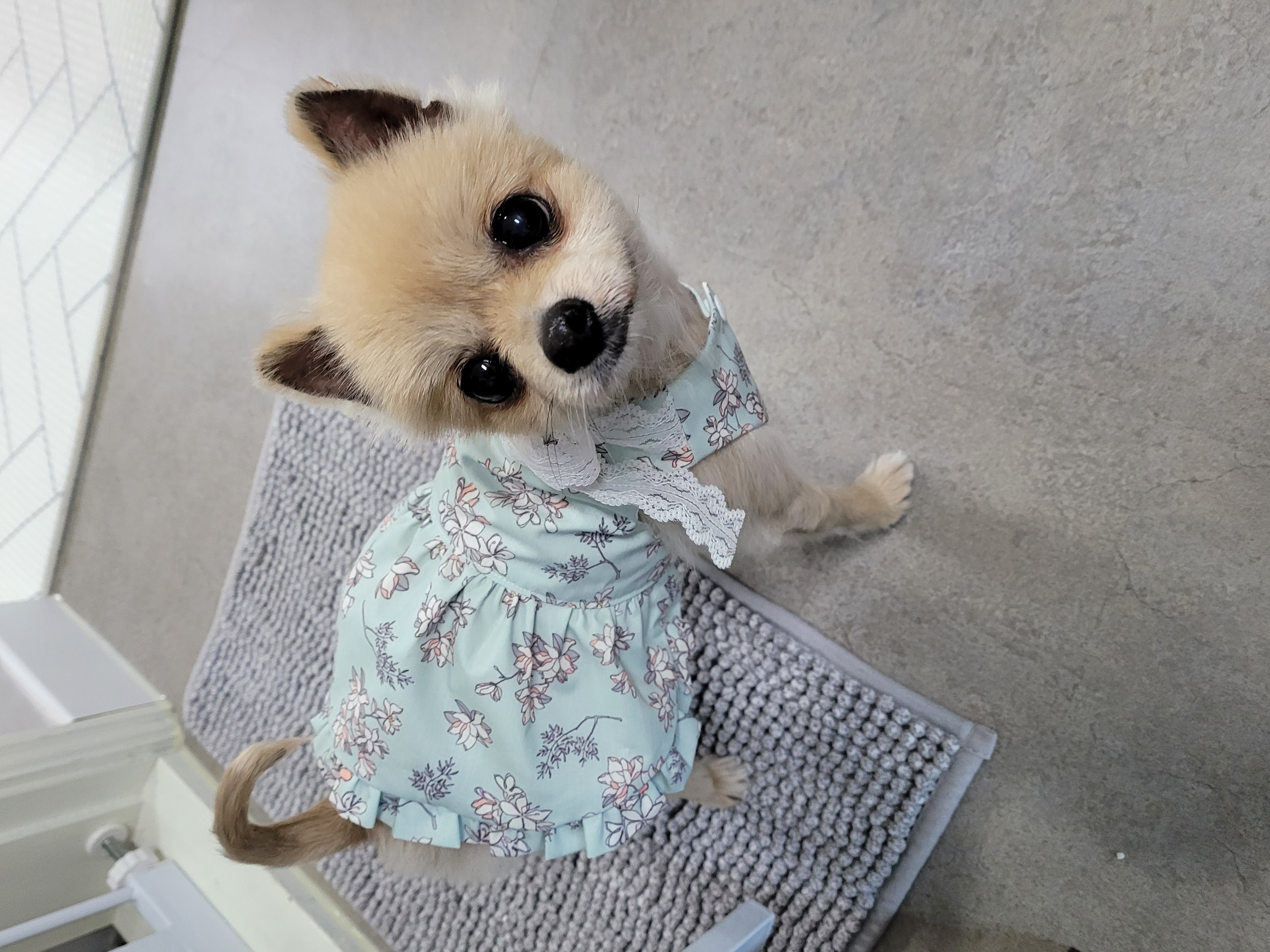 곤지암 호강이 온 지 한 달