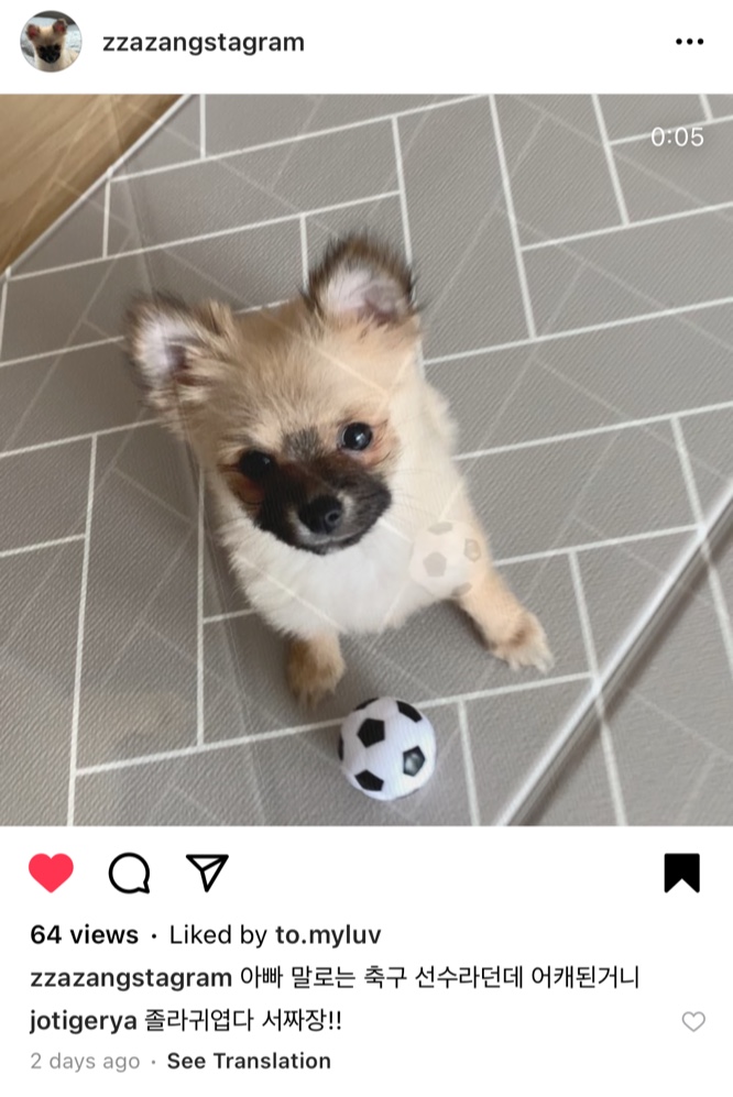 곤지암- 송일 1차 입양후기입니다~