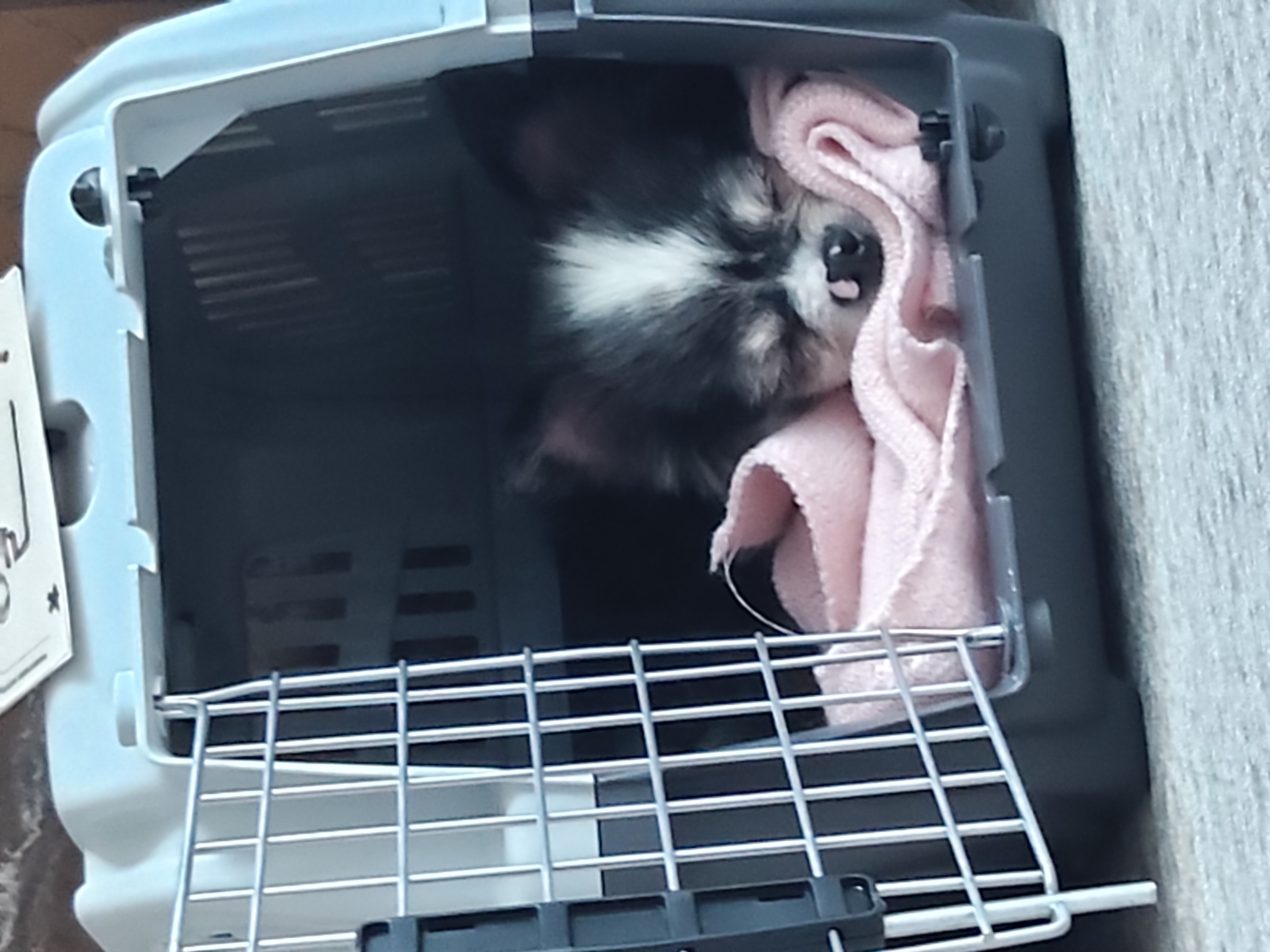 별(깜치)이 소식전합니다.