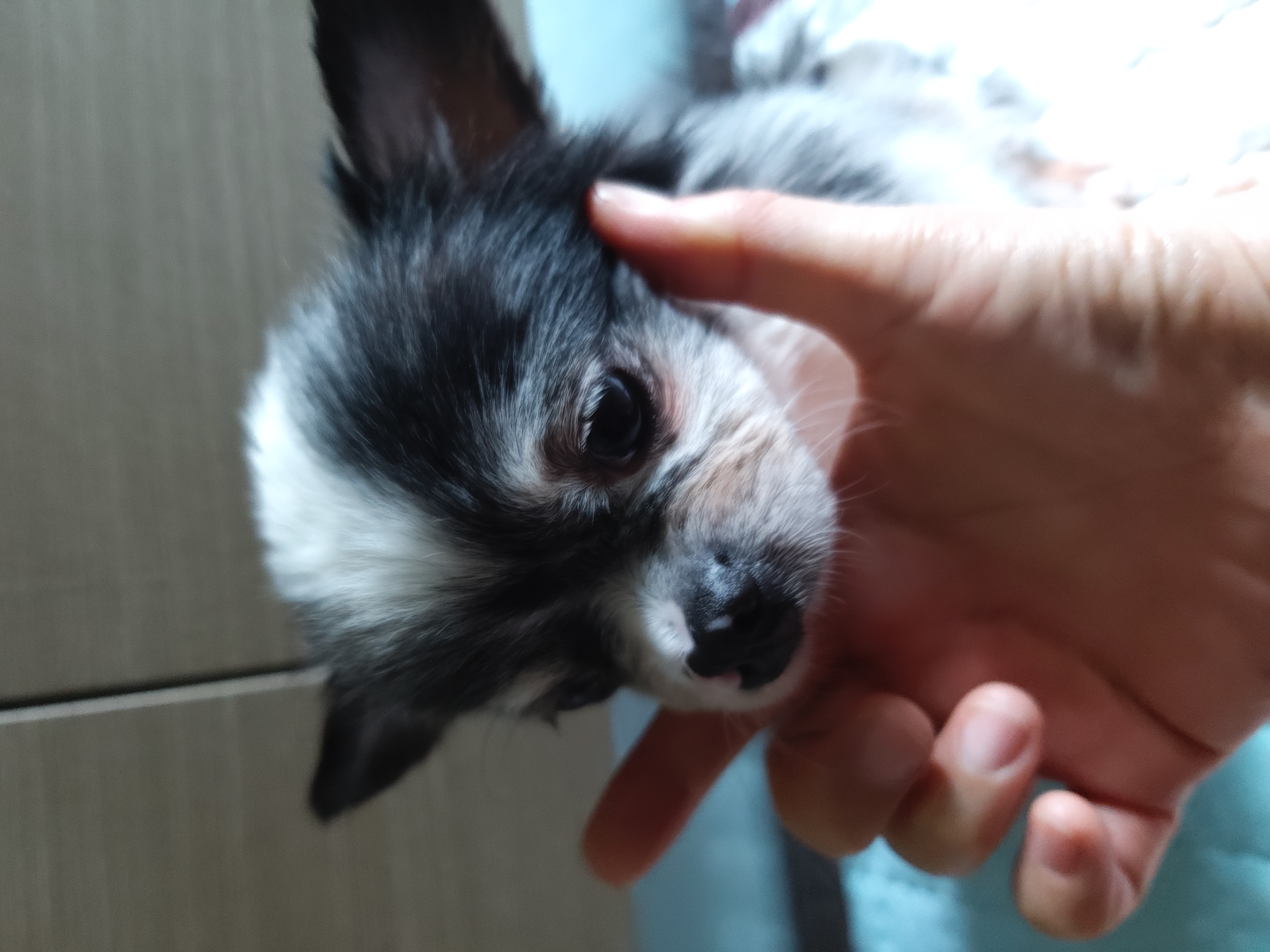 별(깜치)이 소식전합니다.