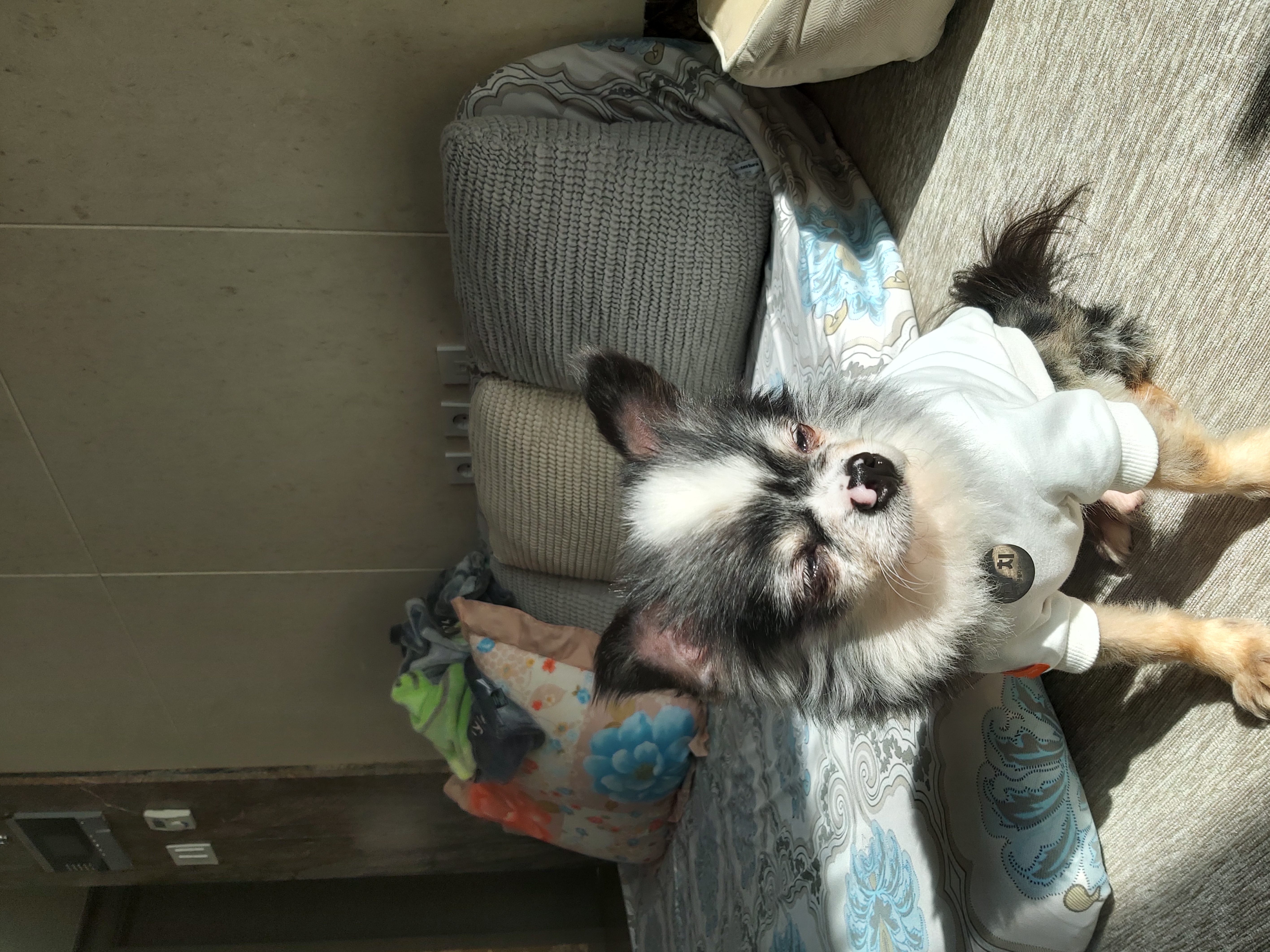 별(깜치)이 소식전합니다.