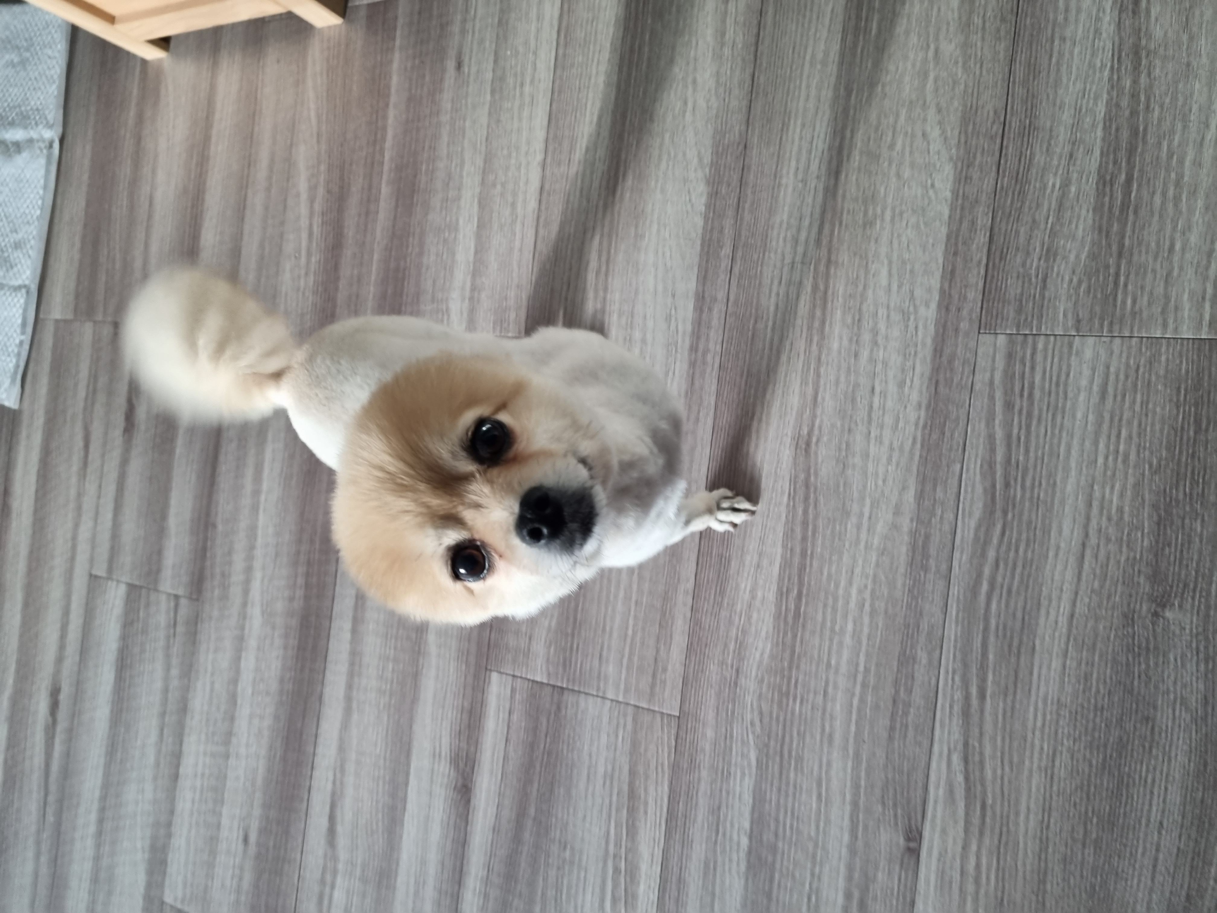 온새의 일주일차 이야기~♡