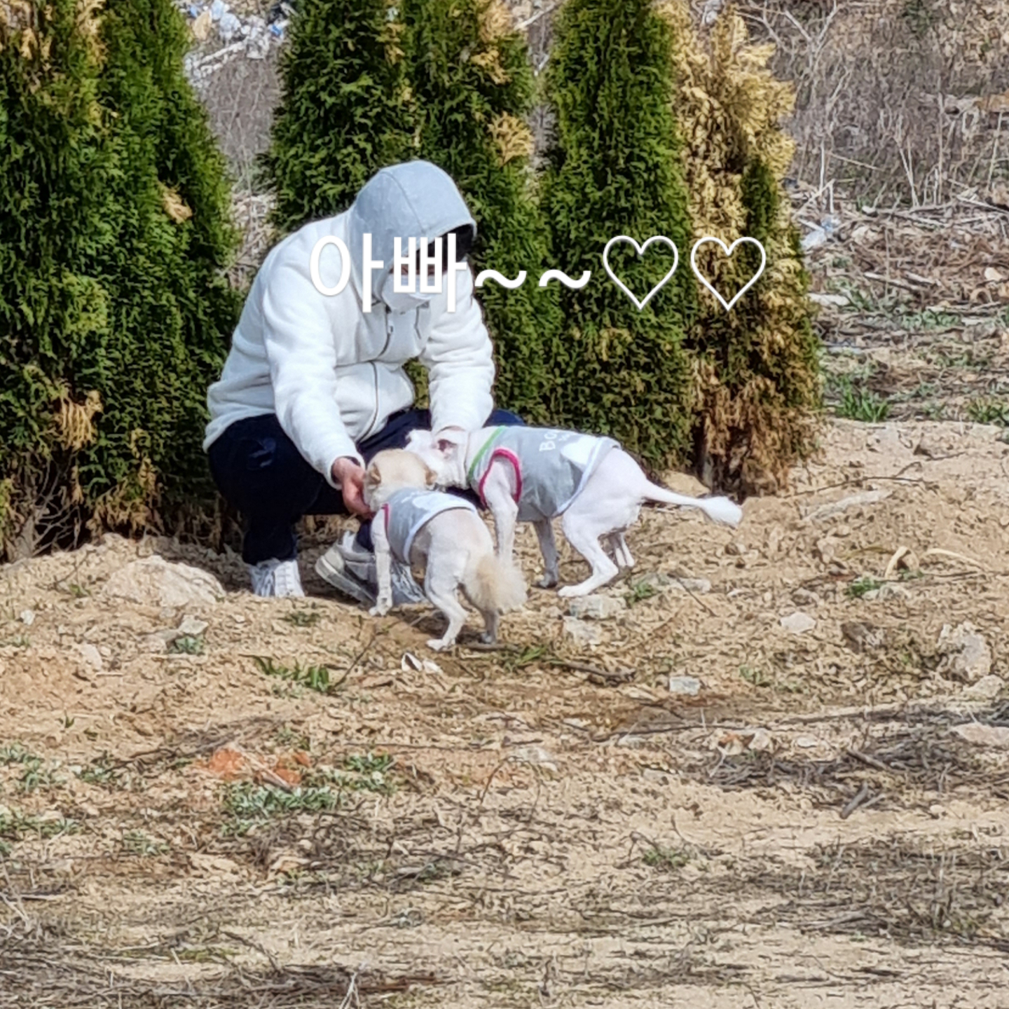 온새의 일주일차 이야기~♡