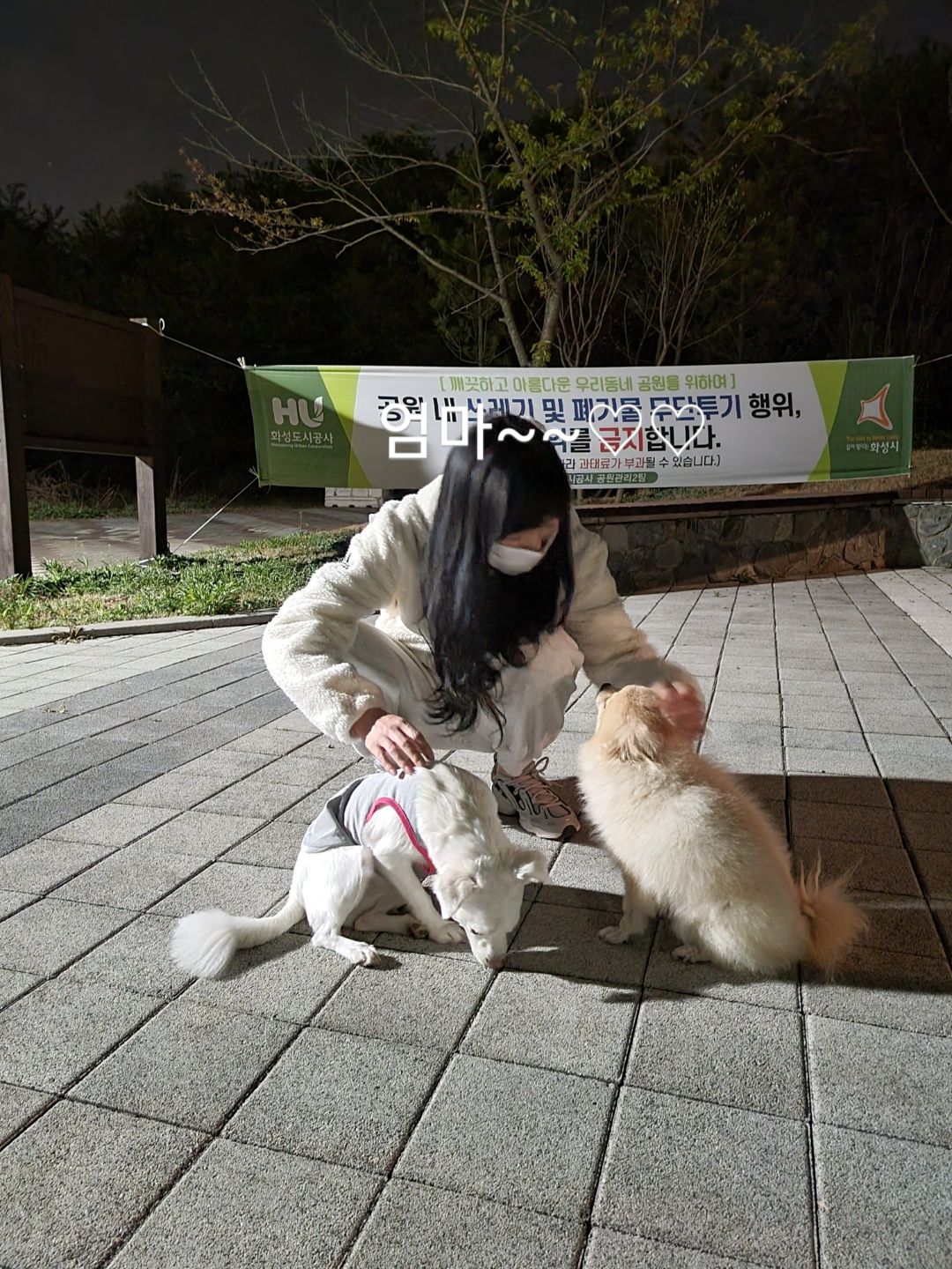 온새의 일주일차 이야기~♡