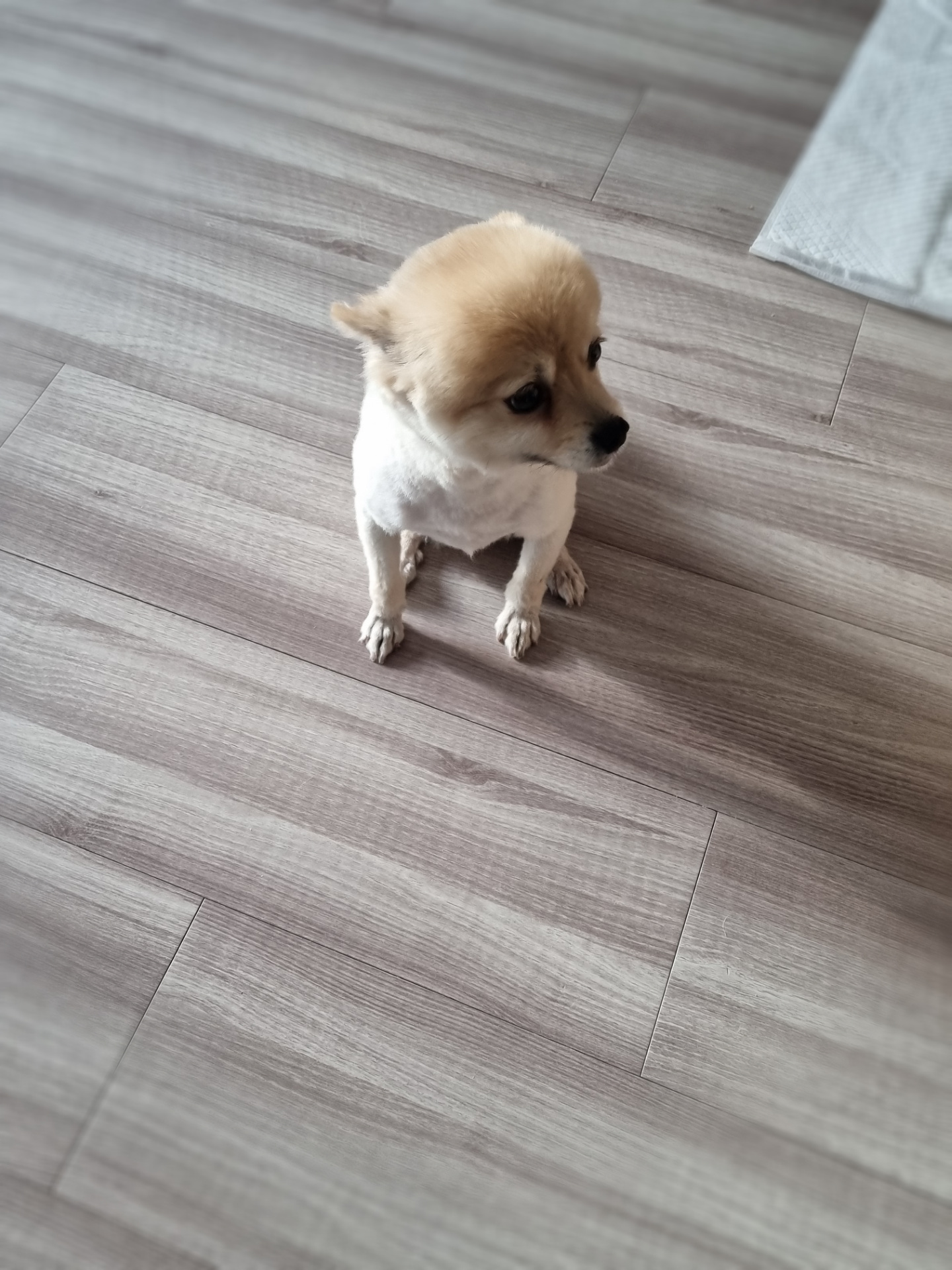 온새의 일주일차 이야기~♡