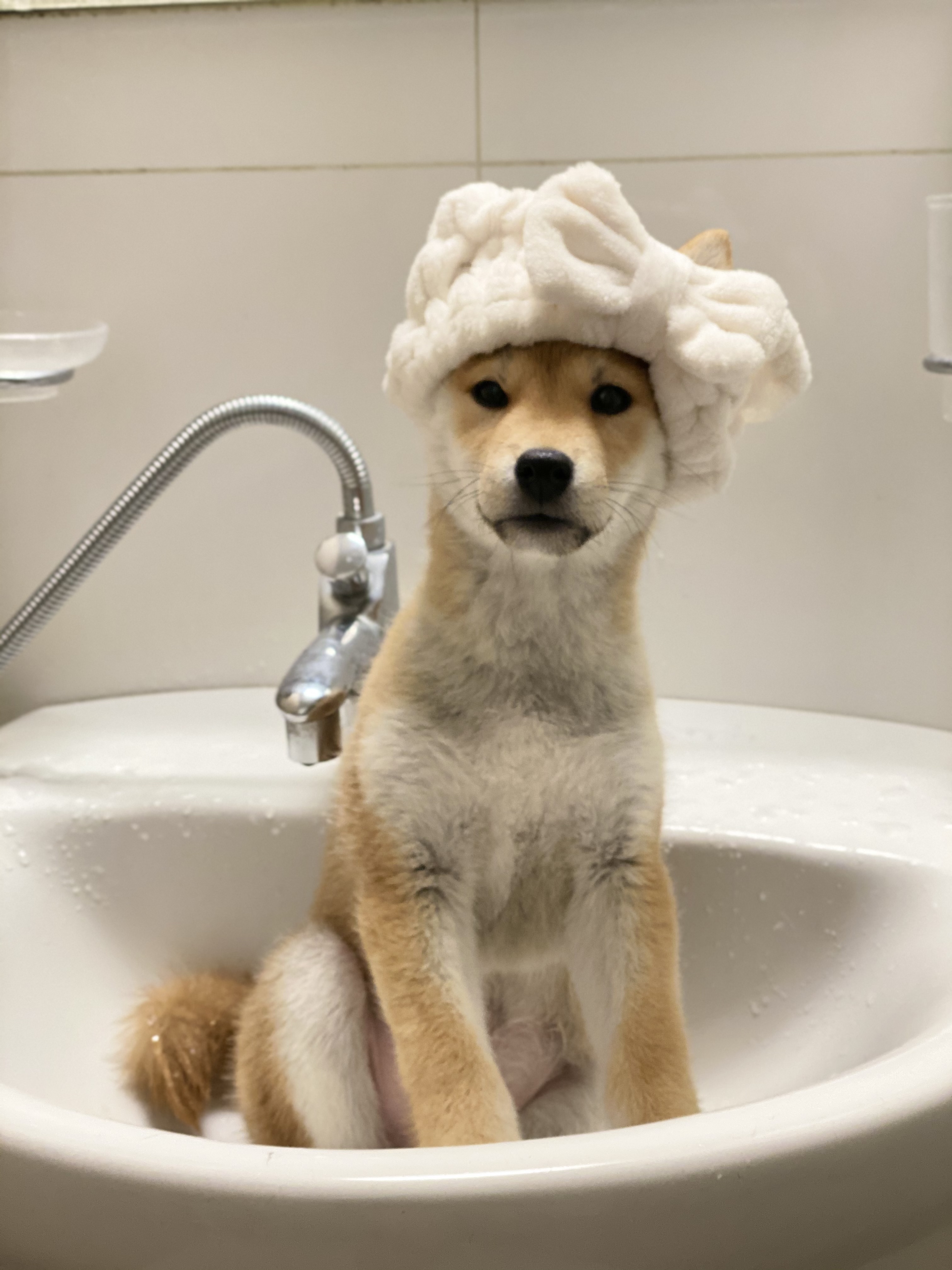 곤지암/ 한시 리오의 한 달♥︎ 