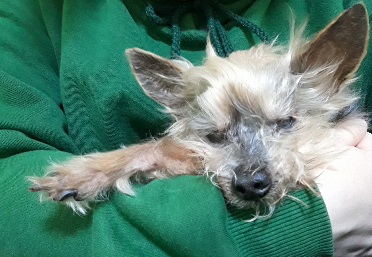 또로(창동) 소식 올립니다ㅠ