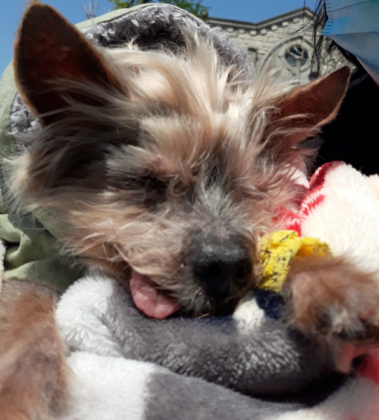 또로(창동) 소식 올립니다ㅠ