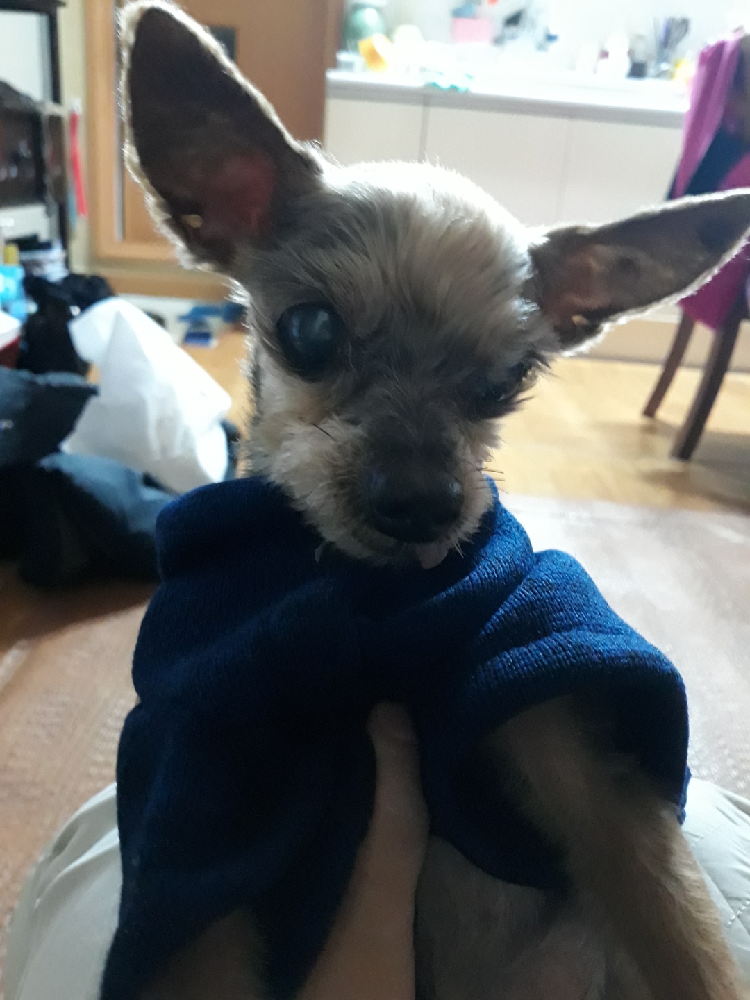 또로(창동) 소식 올립니다ㅠ