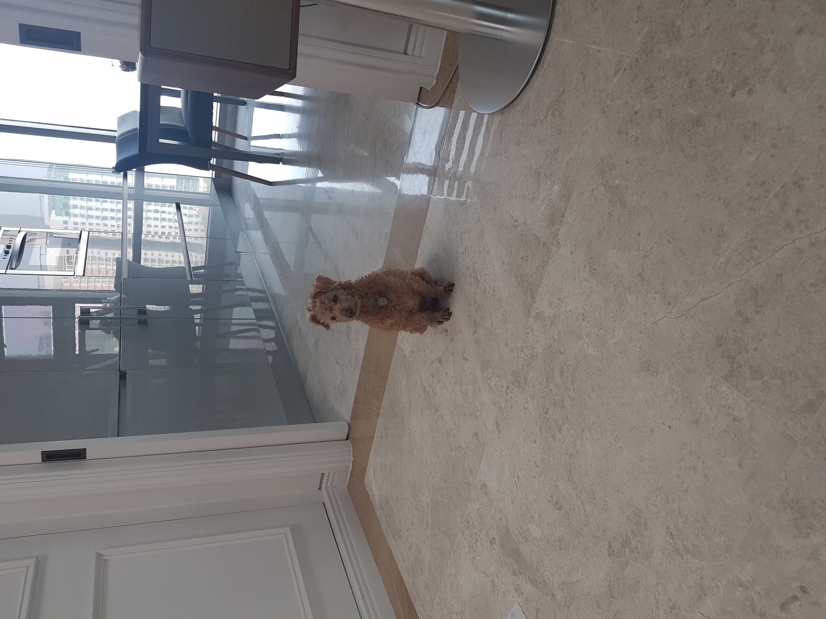 팔랑이~~(지금은  버디예요~~^^)