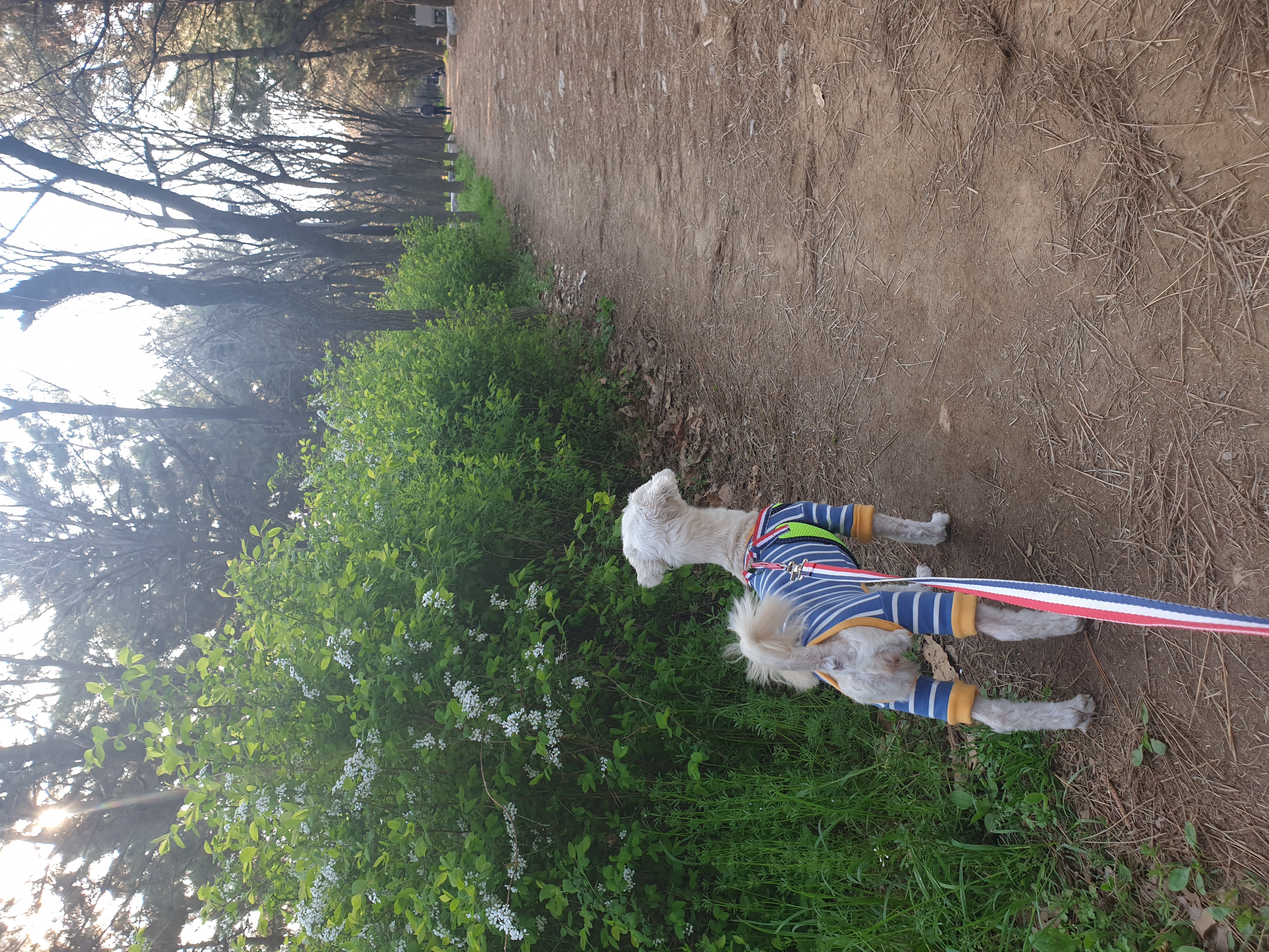 봉봉이와 갸족이 된지 석달이 되었네요^^