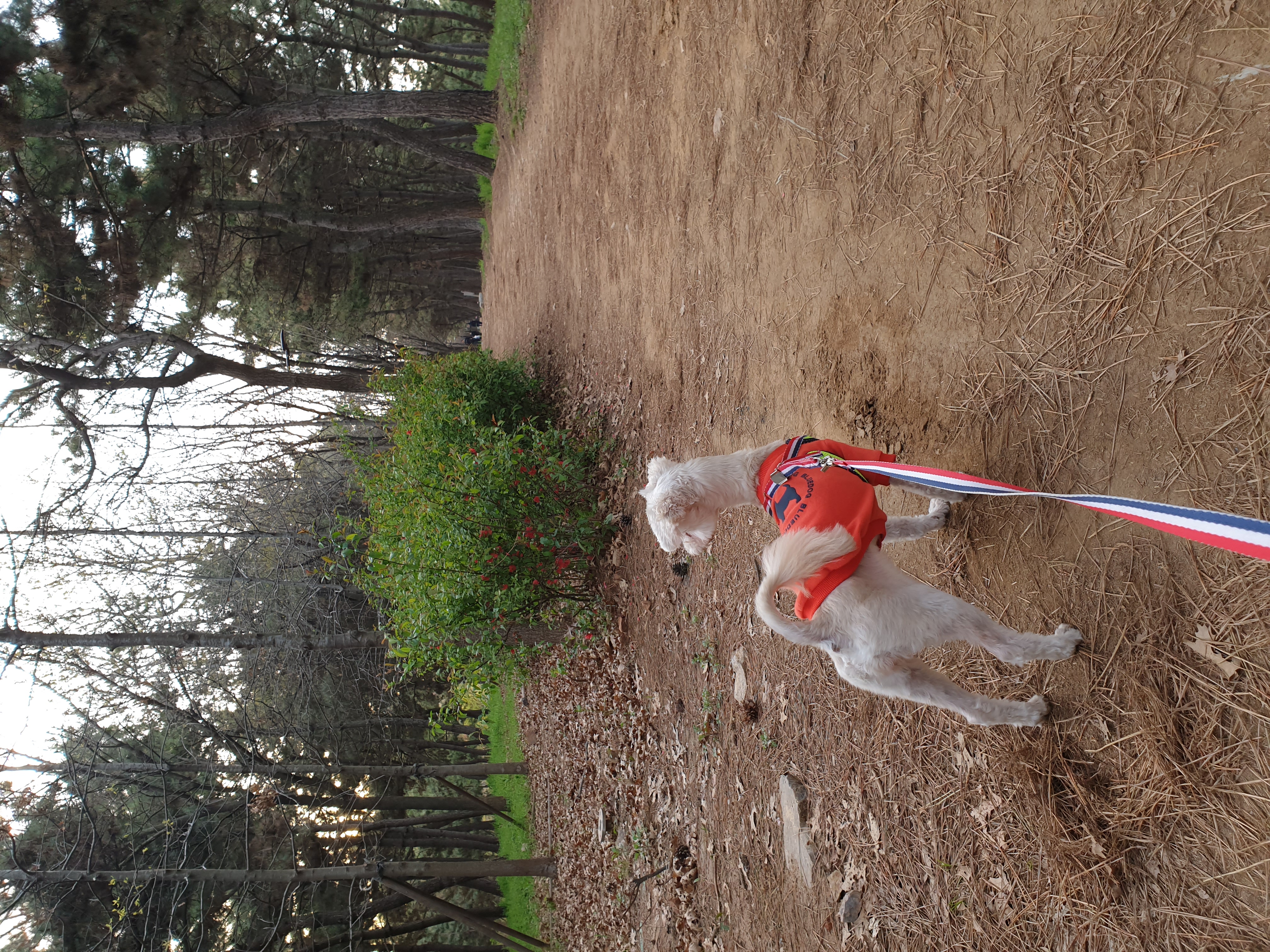 봉봉이와 갸족이 된지 석달이 되었네요^^